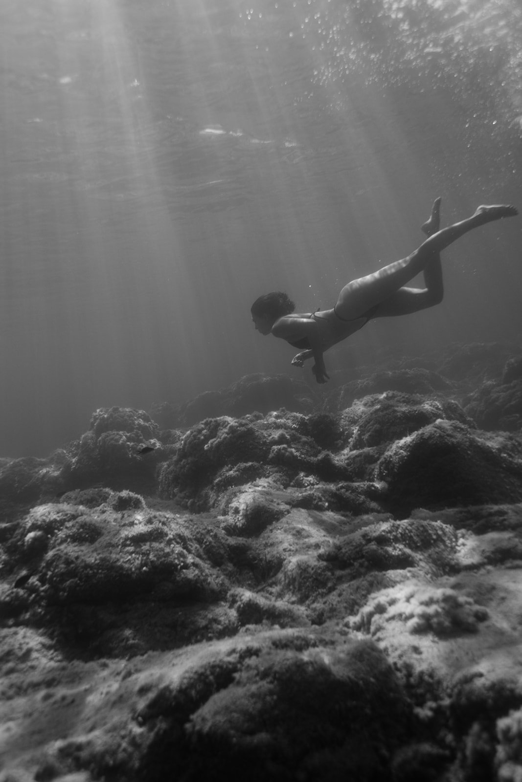 ajaccio amis photographe sous leau marin marine la mer Krista Espino Anza Creative underwater femme lifestyle seance photo séance corse Corsica France capo underwater photogaphy photographie photographe5C2A7685.jpg