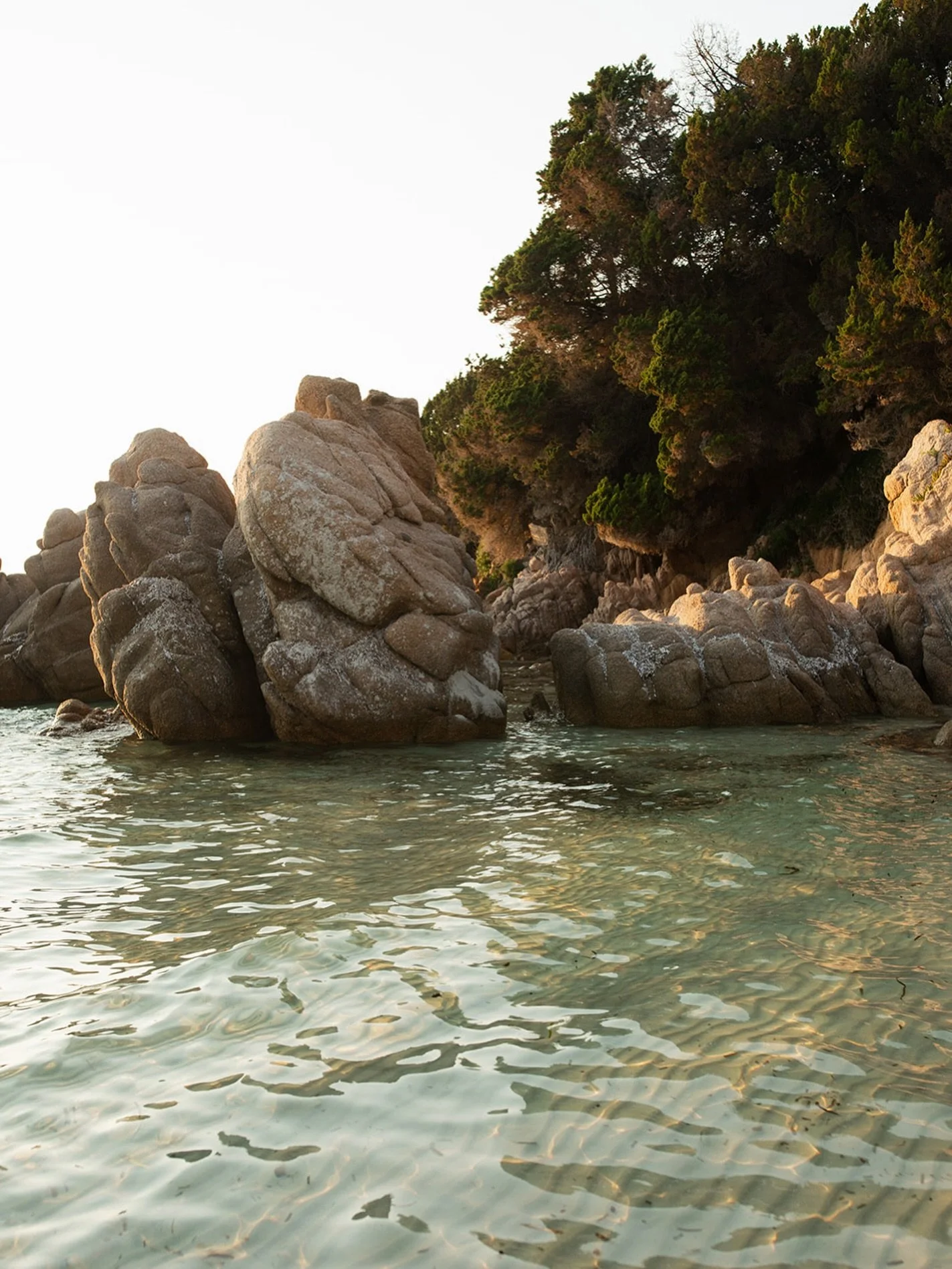 Plage d&rsquo;argent &agrave; l&rsquo;heure dor&eacute;e 
.
.
.
#plagedargent #corse #corsica #photographecorse