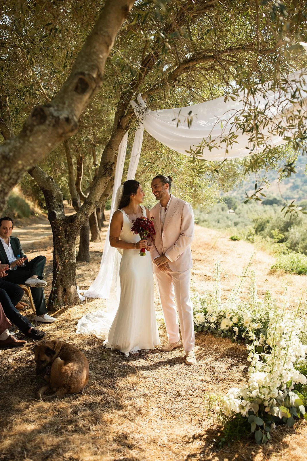 Corse ajaccio photographer photographe bastia french english france corsica wedding mariage domaine acciola nessa Anza Creative _MG_4835.jpg