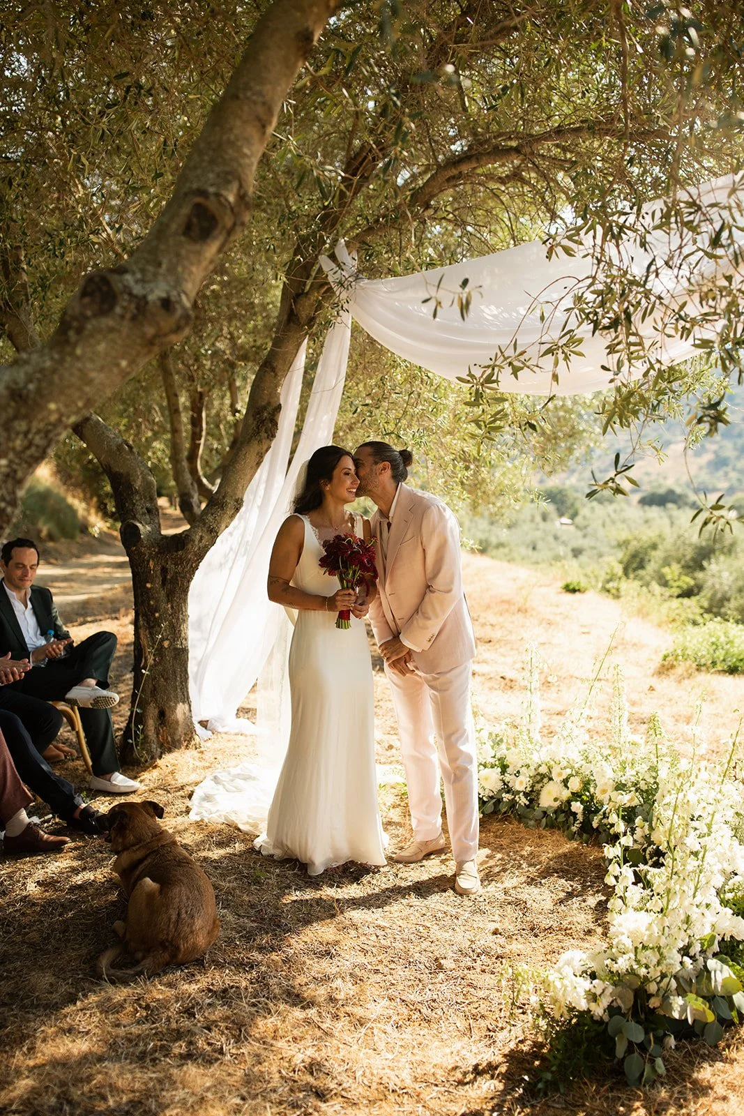 Corse ajaccio photographer photographe bastia french english france corsica wedding mariage domaine acciola nessa Anza Creative _MG_4838.jpg