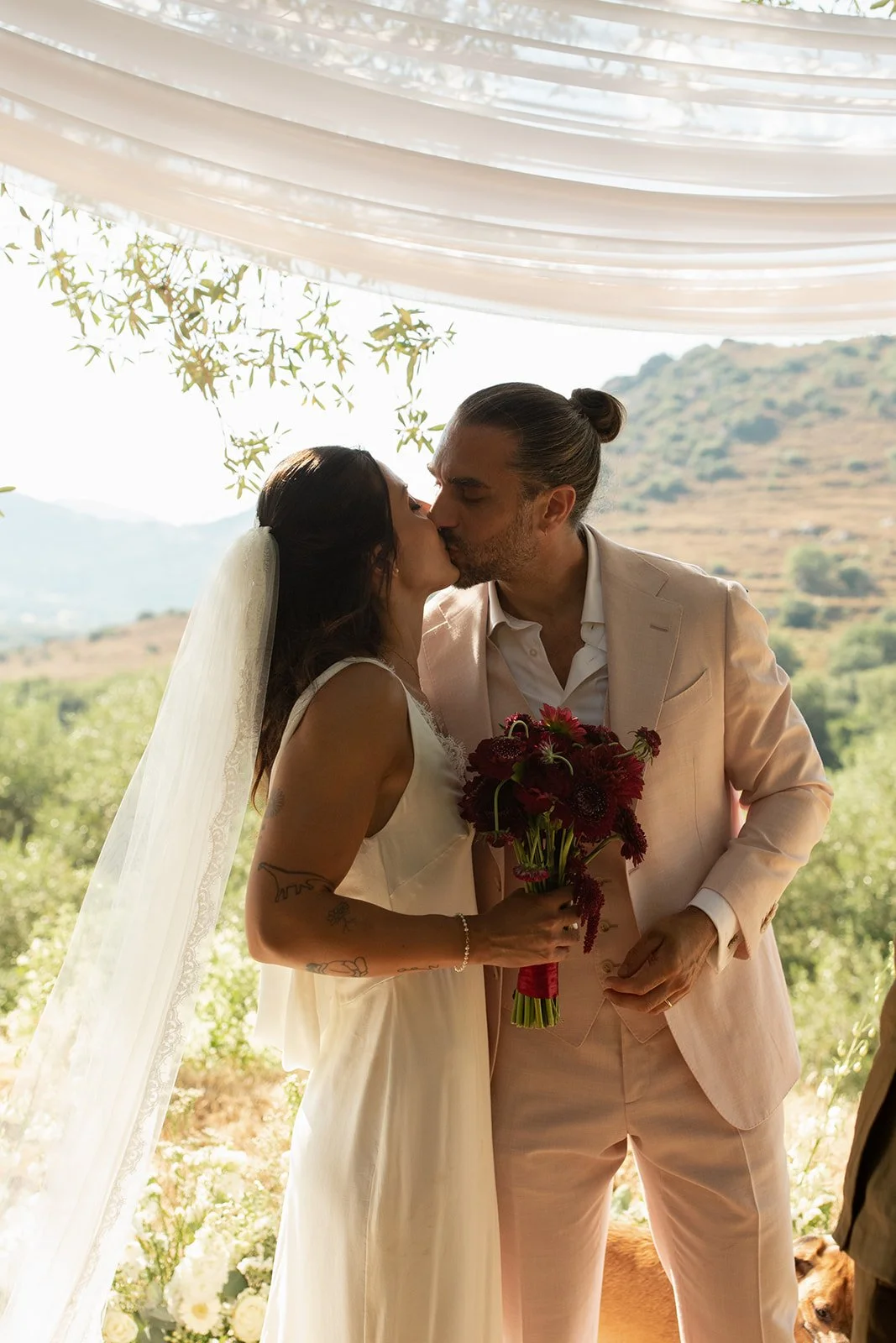 Corse ajaccio photographer photographe bastia french english france corsica wedding mariage domaine acciola nessa Anza Creative _MG_4934.jpg