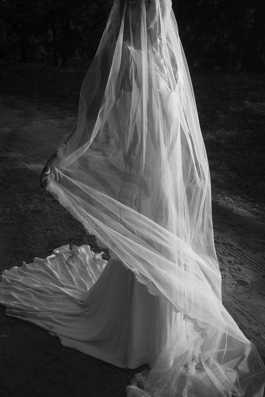 Corse ajaccio photographer photographe bastia french english france corsica wedding mariage domaine acciola nessa Anza Creative _MG_5411-3.jpg