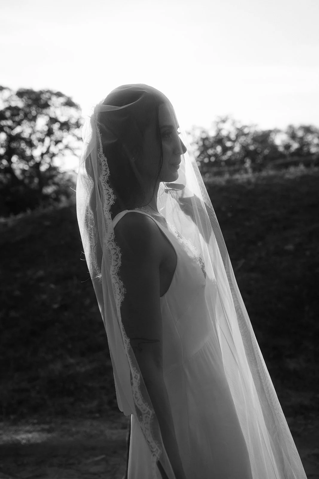 Corse ajaccio photographer photographe bastia french english france corsica wedding mariage domaine acciola nessa Anza Creative _MG_5442.jpg