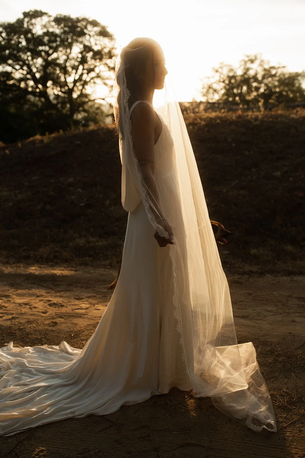 Corse ajaccio photographer photographe bastia french english france corsica wedding mariage domaine acciola nessa Anza Creative _MG_5444.jpg