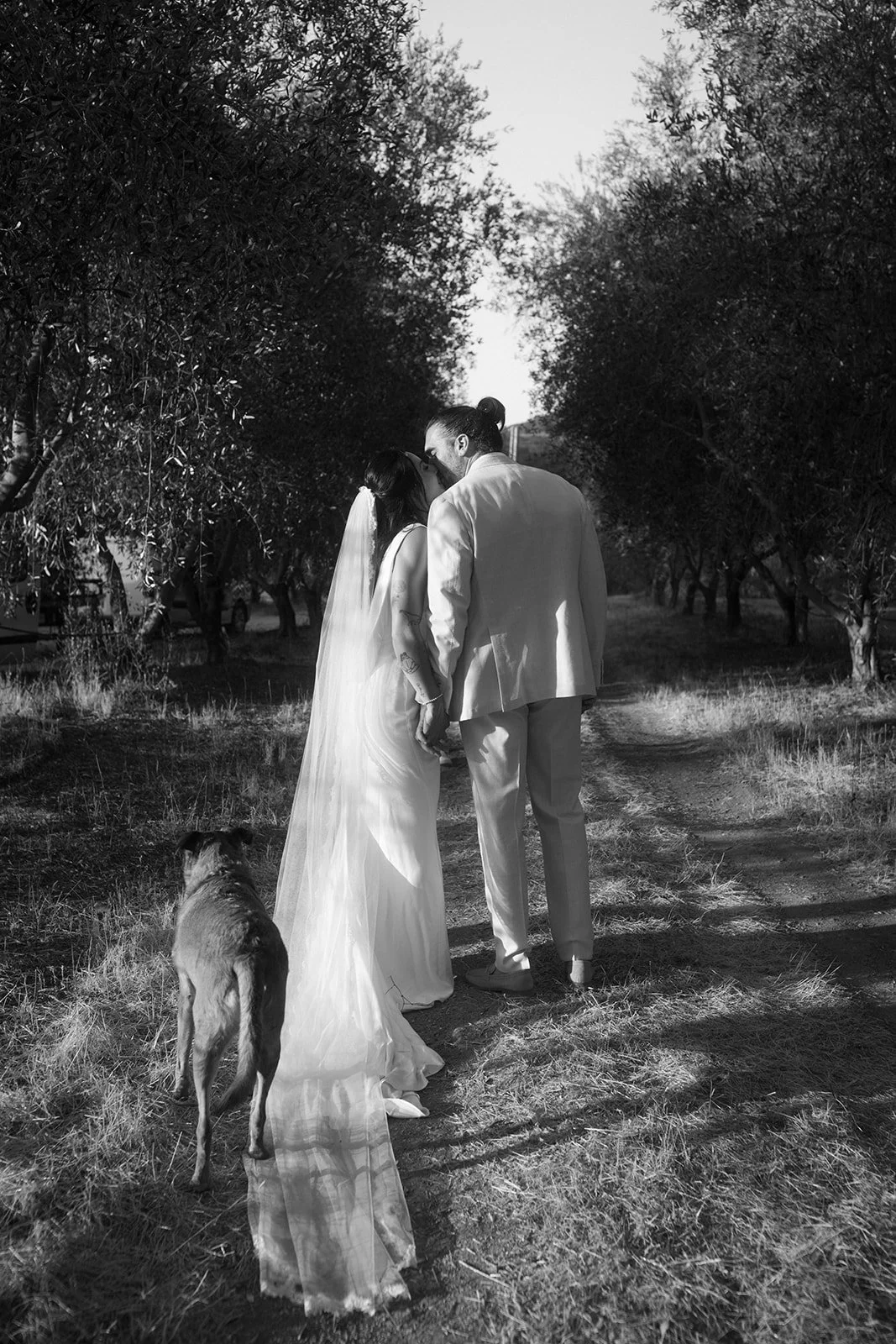Corse ajaccio photographer photographe bastia french english france corsica wedding mariage domaine acciola nessa Anza Creative _MG_5555.jpg