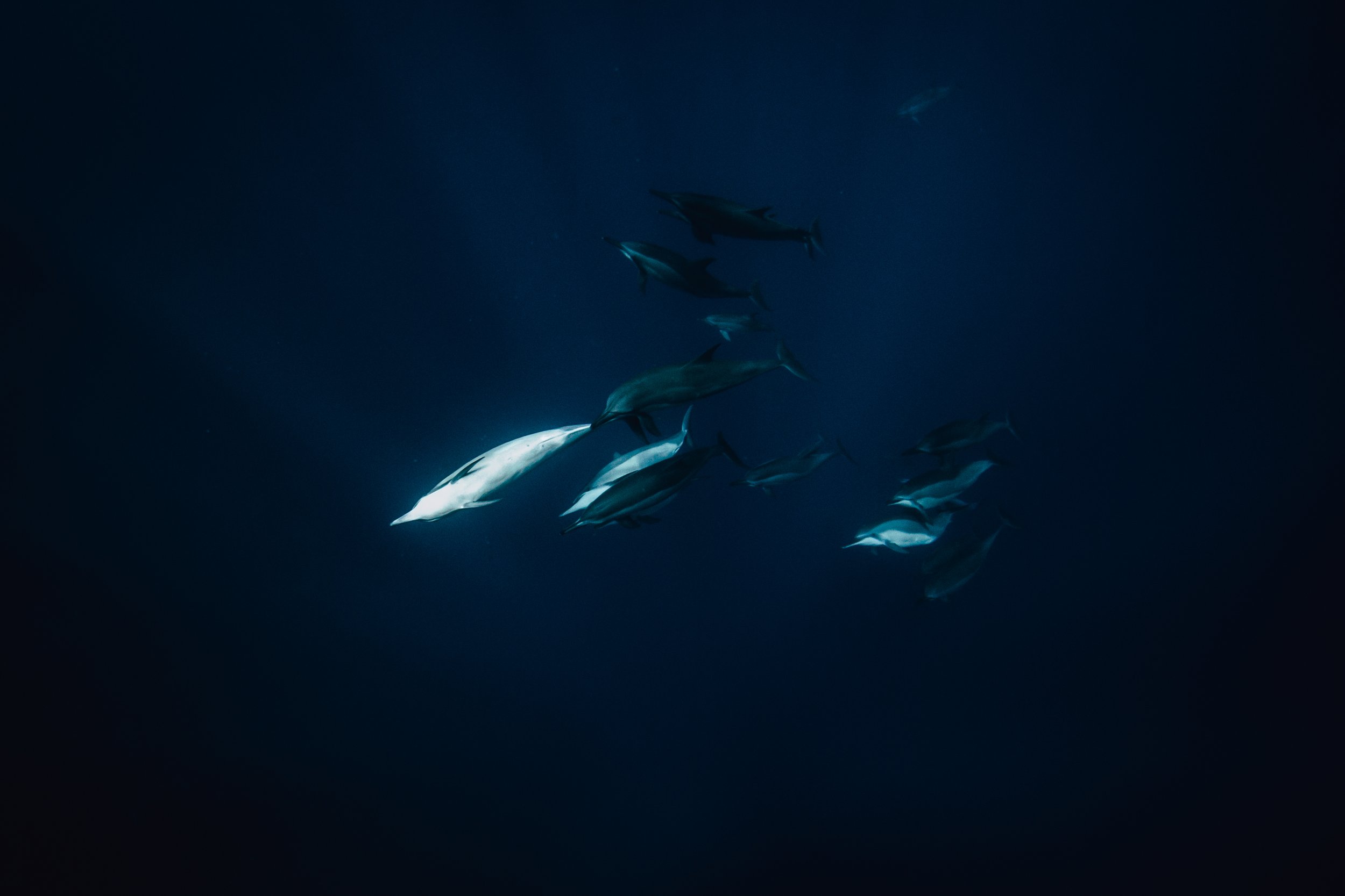 Depth