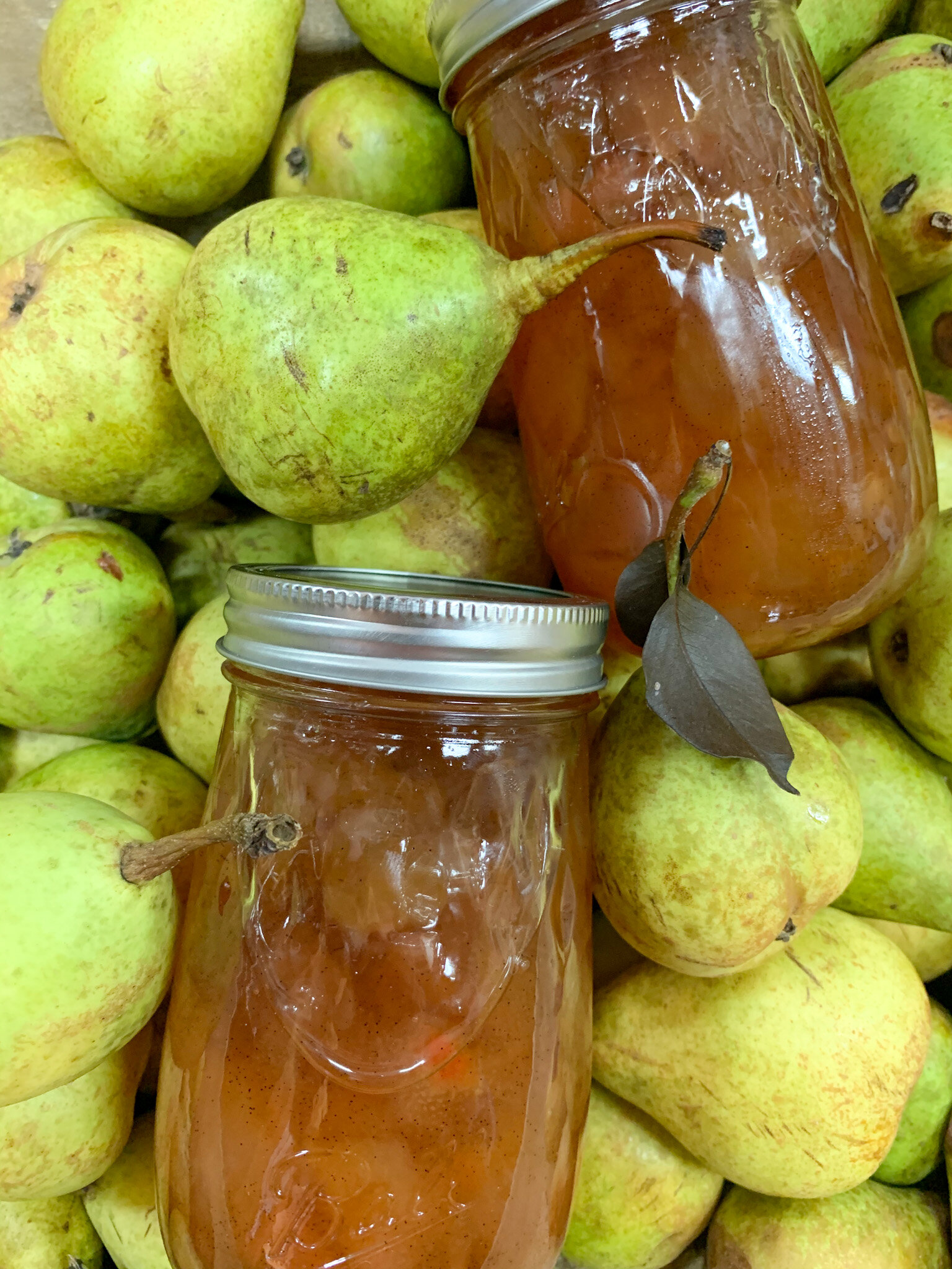 Vanilla Pear Honey Specialties