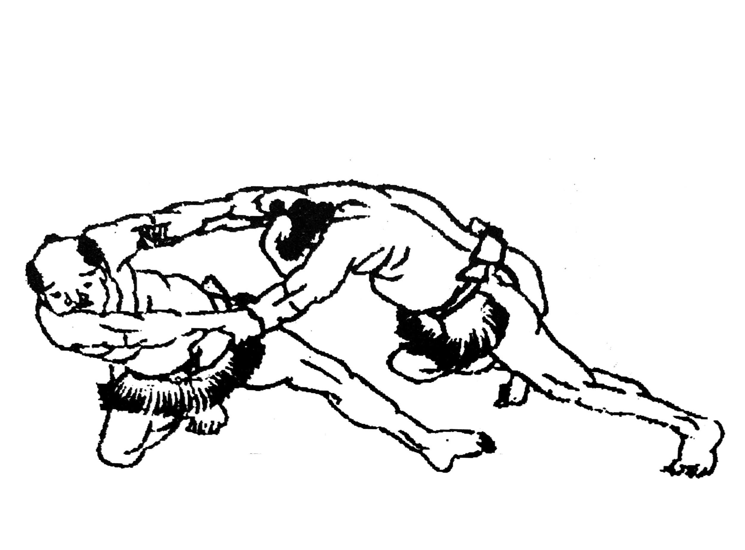 Open.png