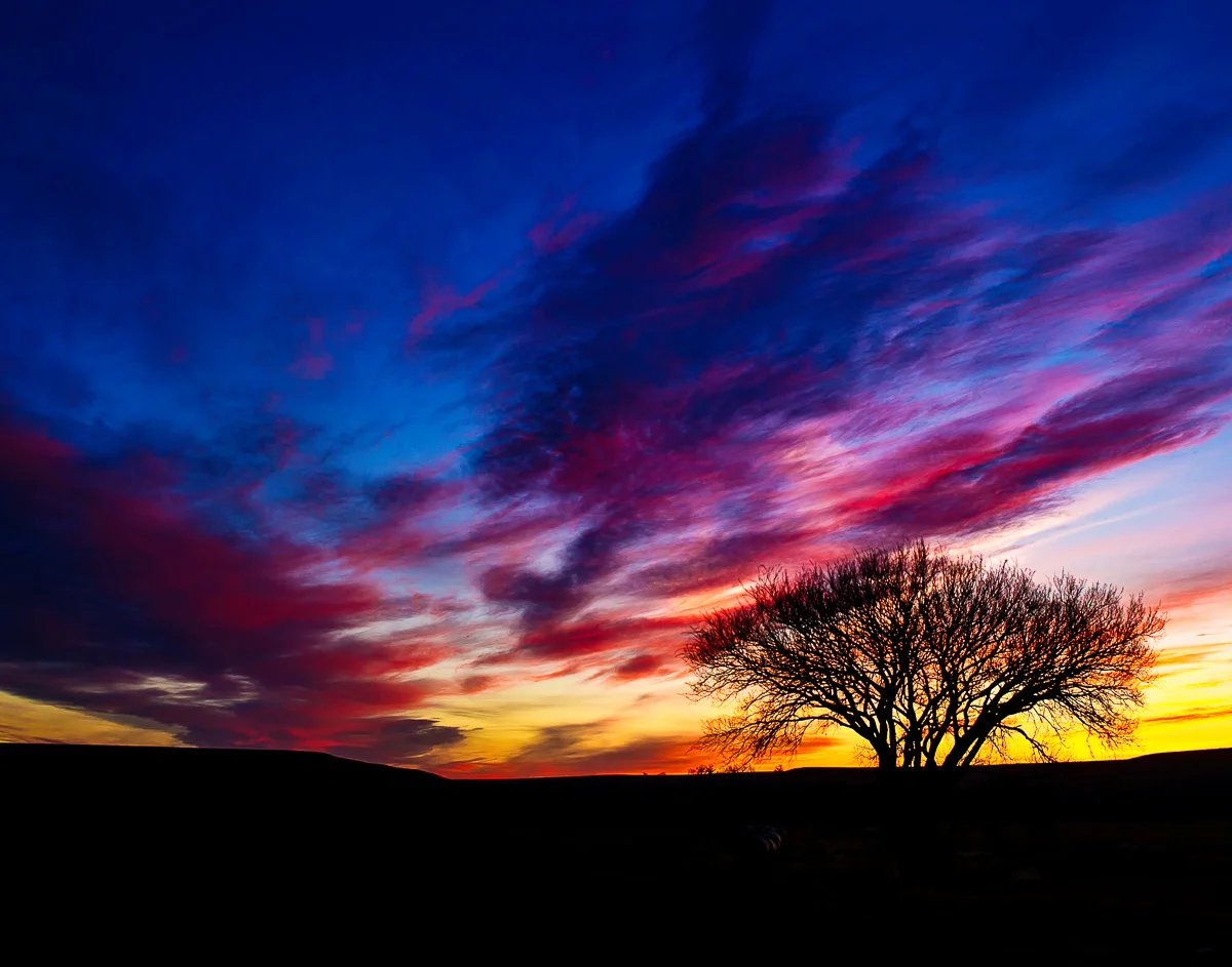 Sunrise2.jpg