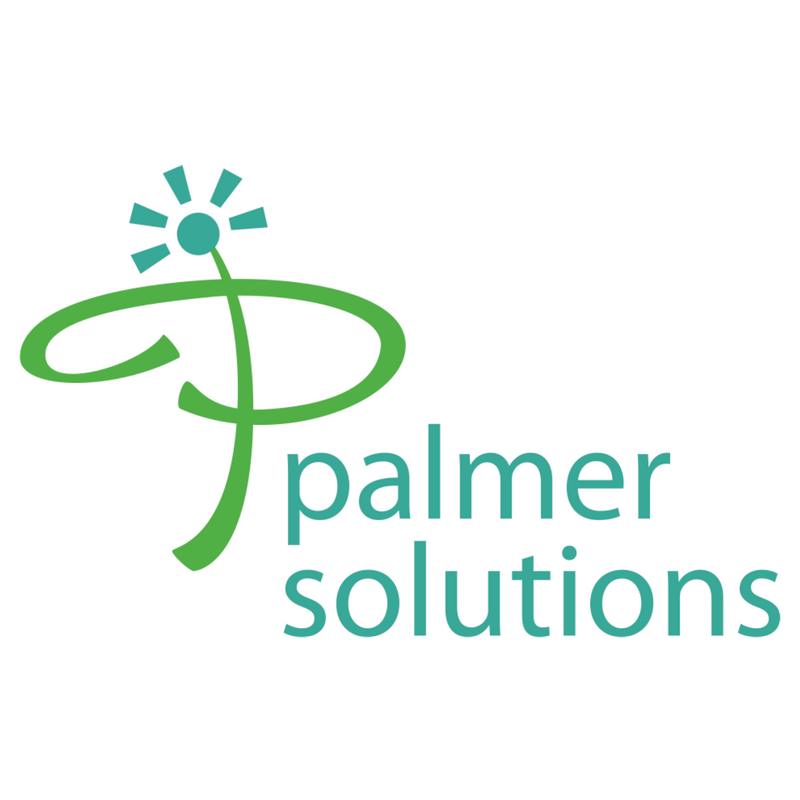 Palmer Solutions