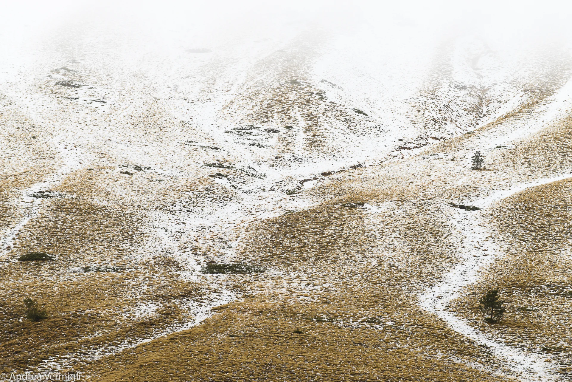 1601_Castelluccio_2016_034.jpg