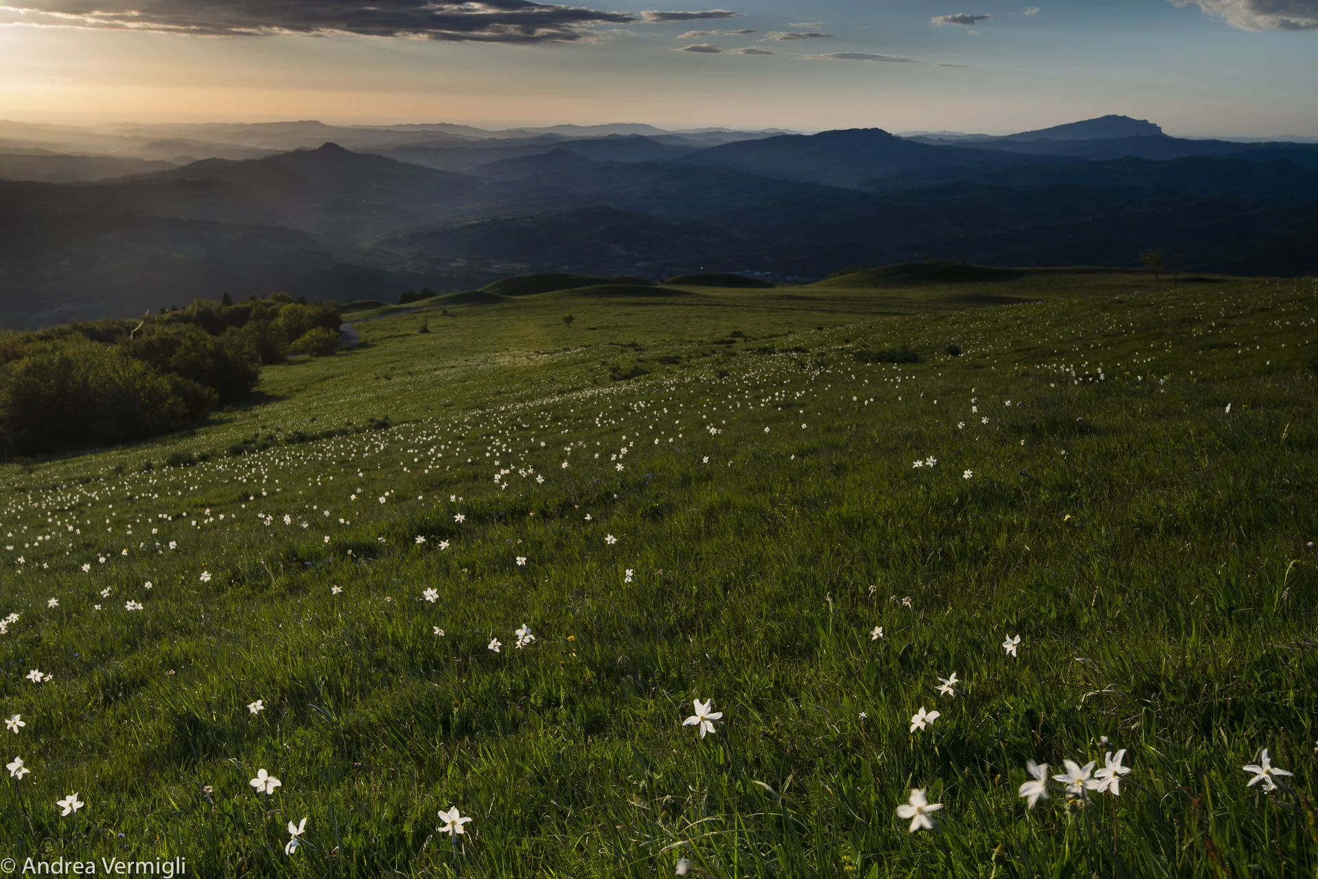 1705_Sibillini_05_2017_018.jpg