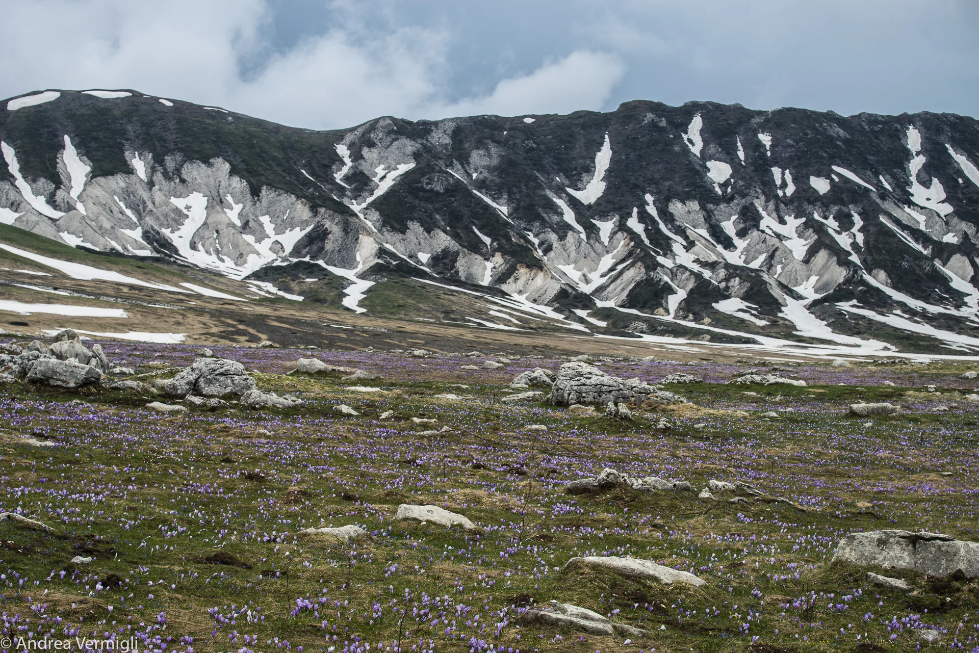 1505_WS Campo Imperatore_2_146.jpg