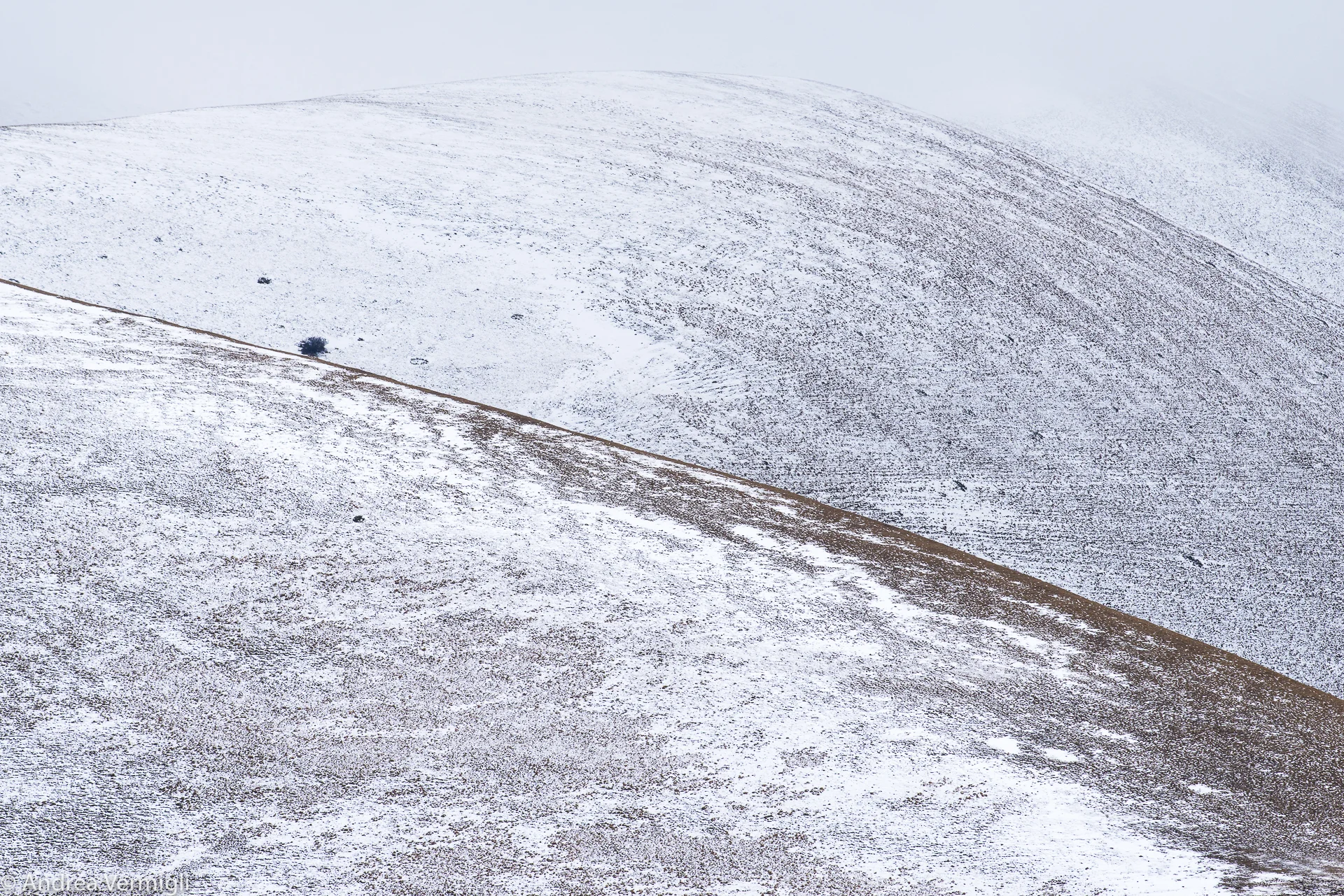 1601_Castelluccio_2016_054.jpg