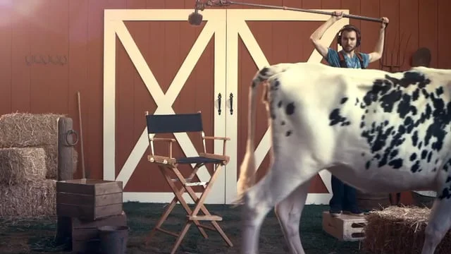 The Incredible Dr. Pol – season launch