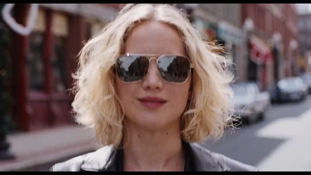 20th Century Fox / Discovery - Joy