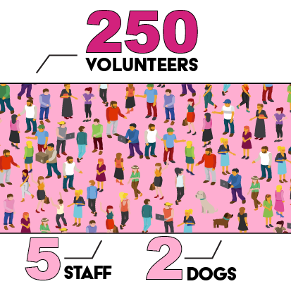 Stats-ORG-Volunteers.png