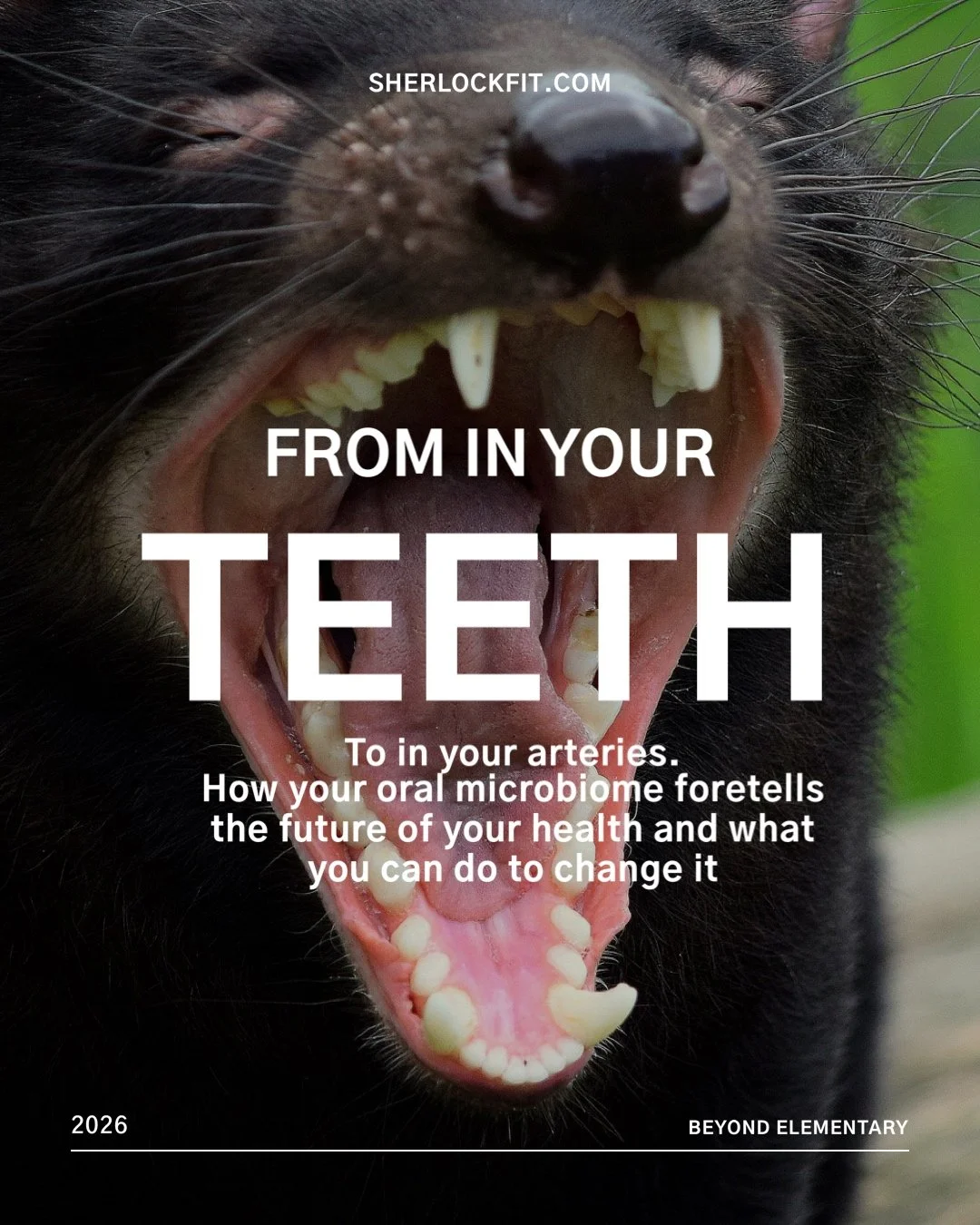 Oral Microbiome and Overall Health