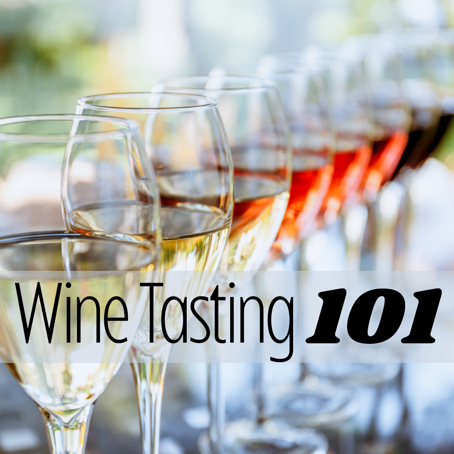 Poster for Wine Tasting 101 Showing wine glasses with different colored wines. 