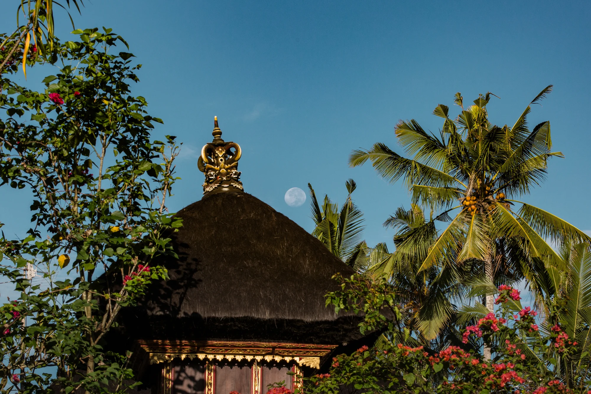 Bali_16-125.jpg