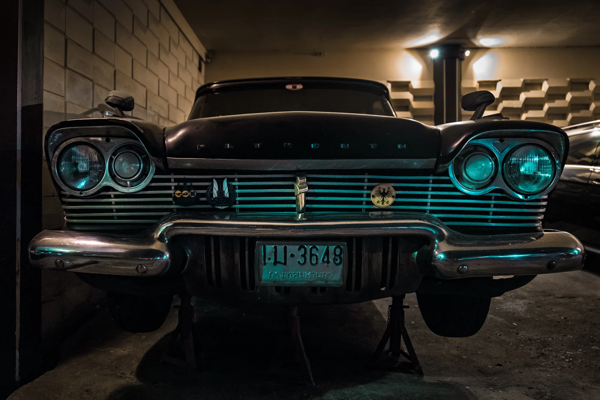 L1060494January 06, 2017.jpg