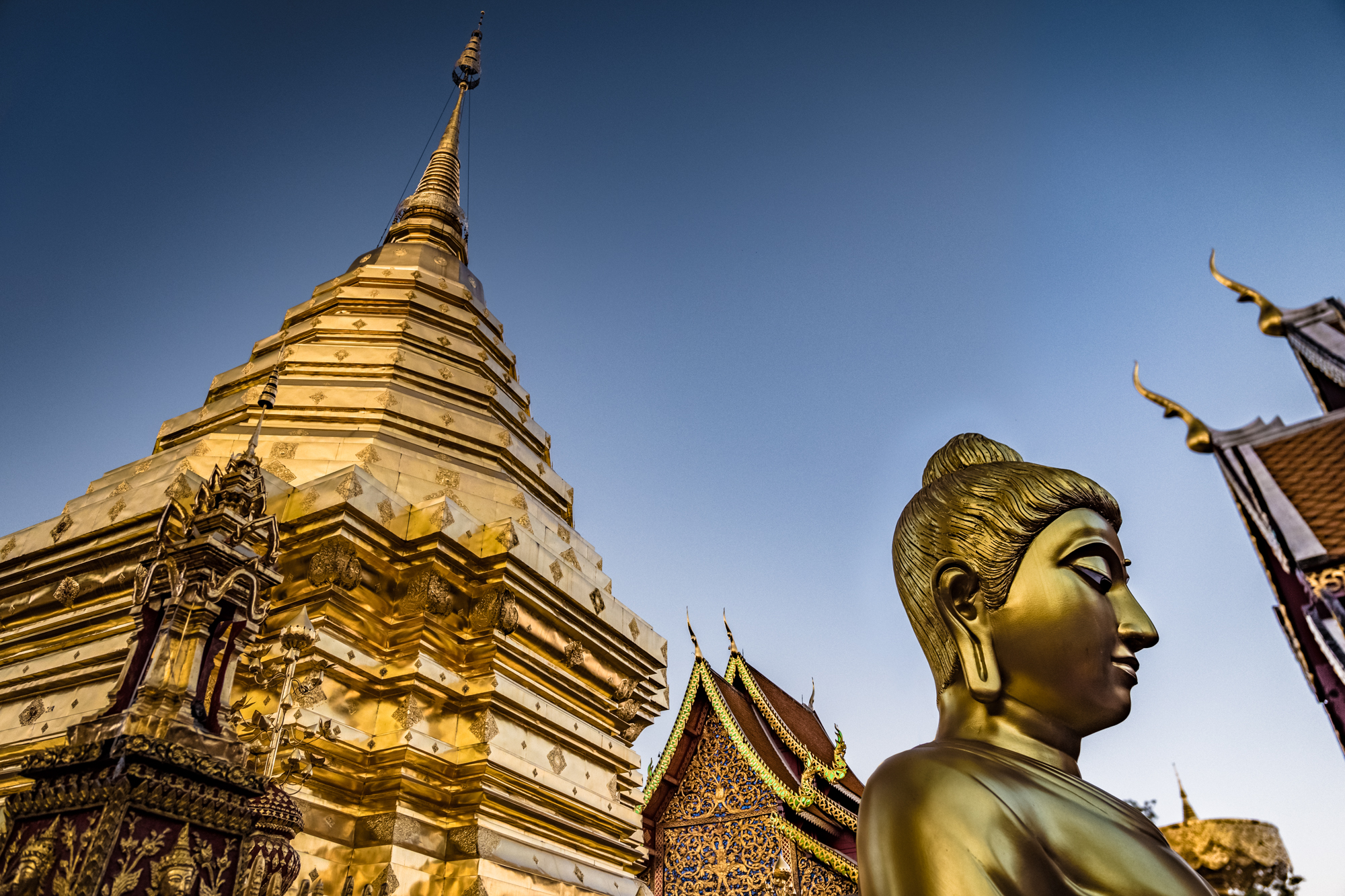 L1070612January 07, 2017-HDR-Edit.jpg