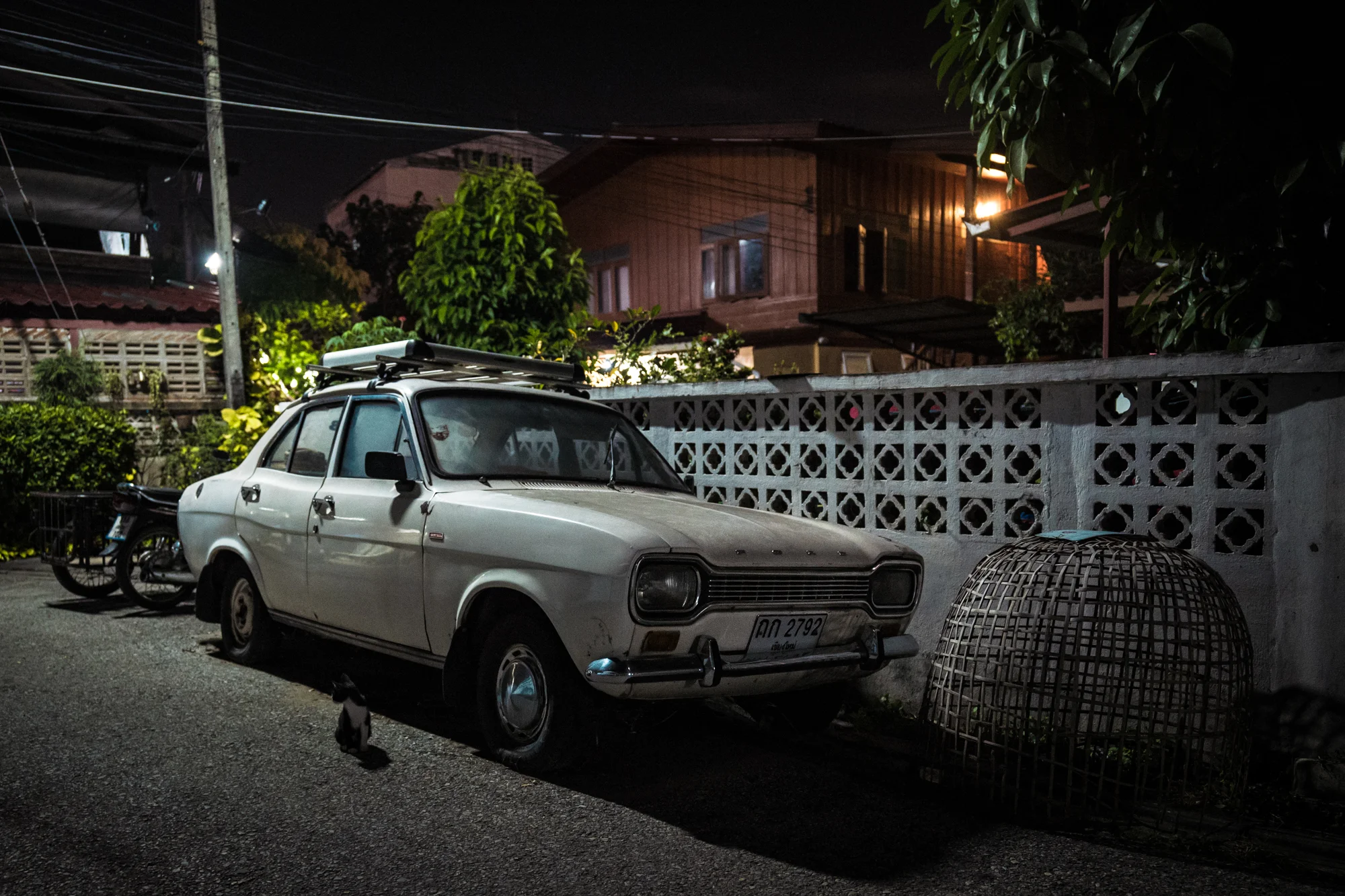 L1070936January 07, 2017.jpg