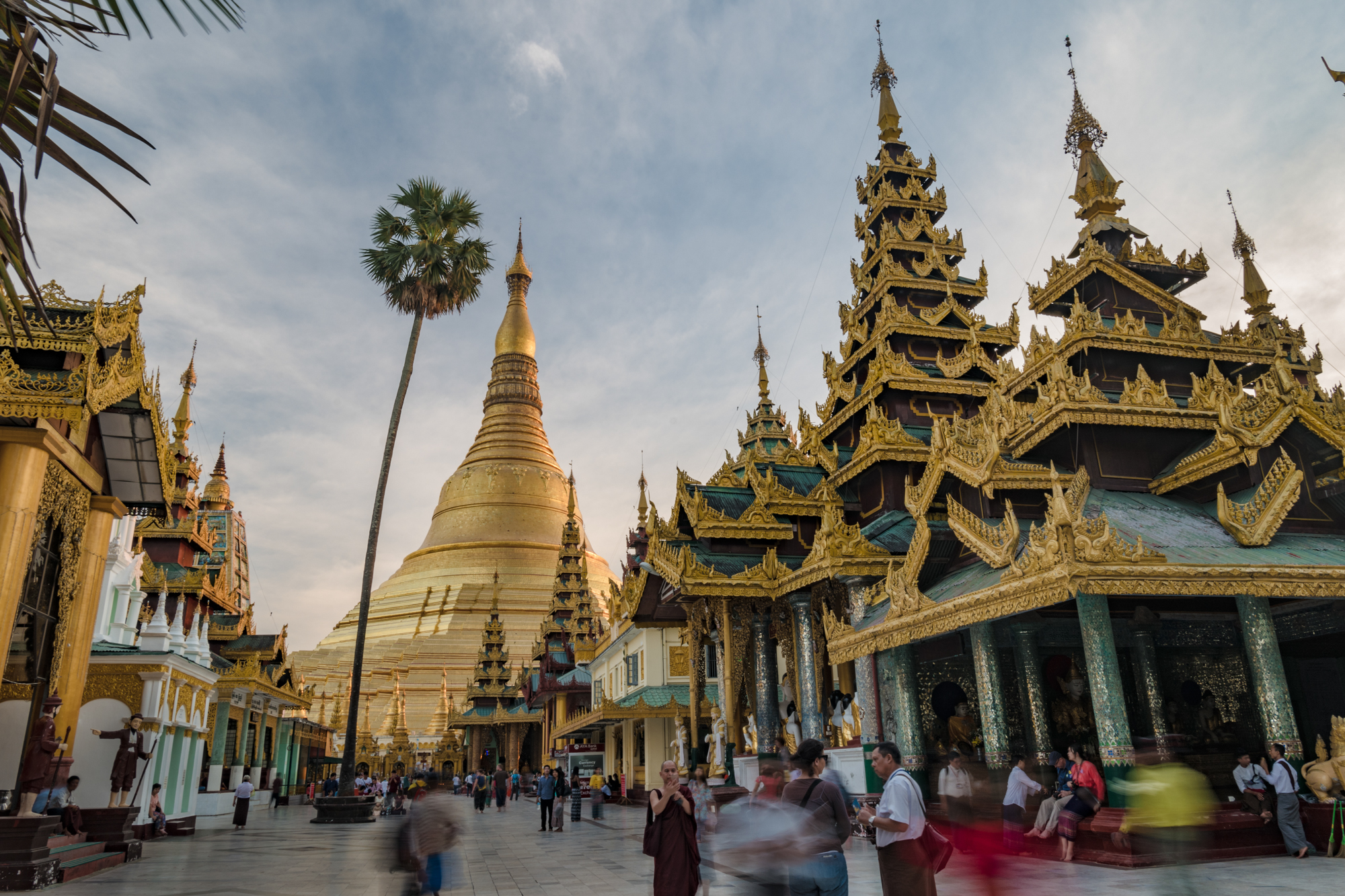 L1080331January 08, 2017.jpg