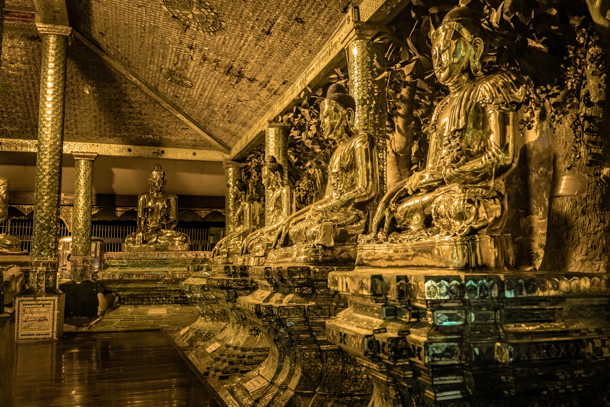 L1080478January 08, 2017-HDR.jpg