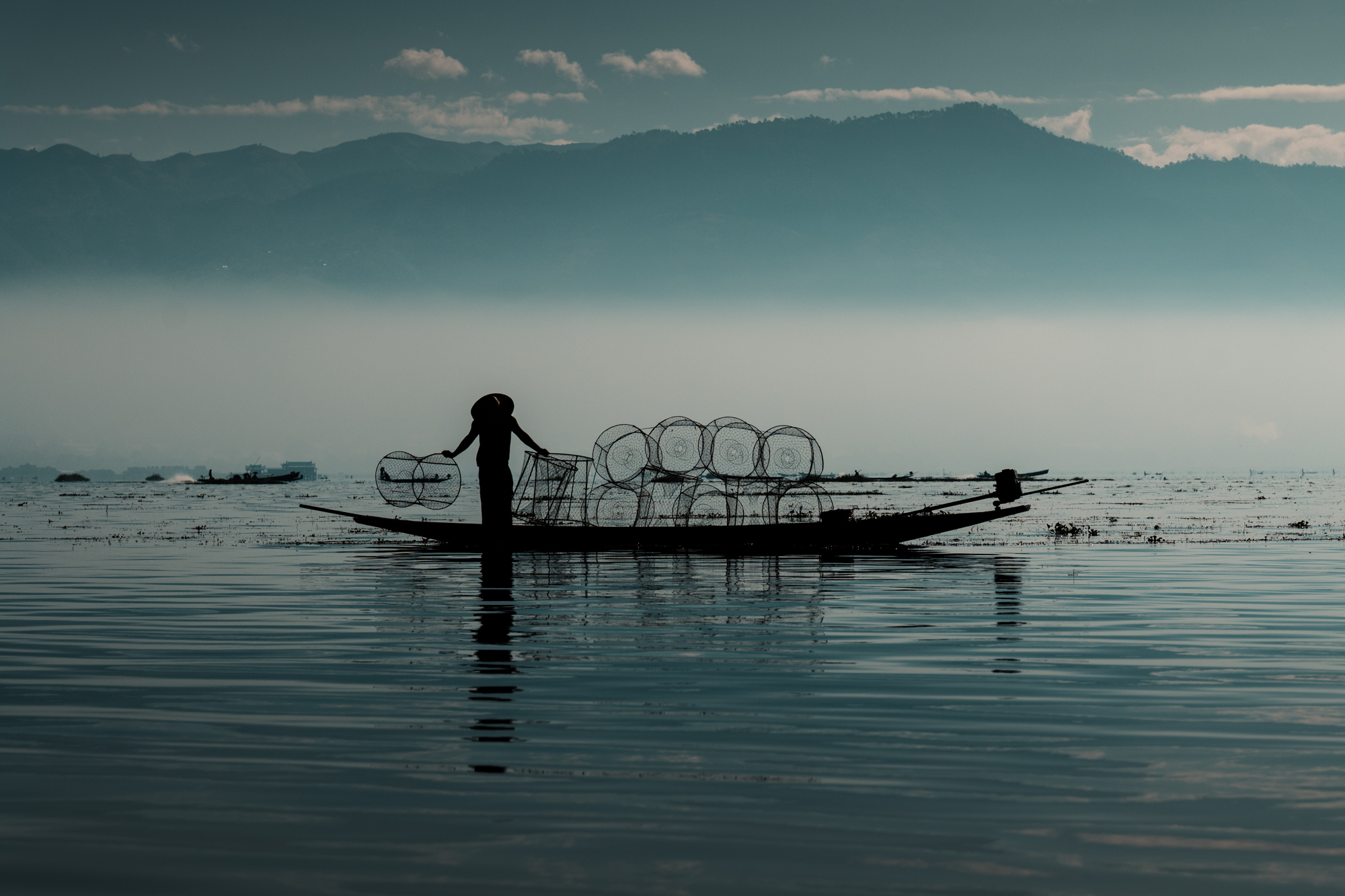 L1090070January 10, 2017.jpg