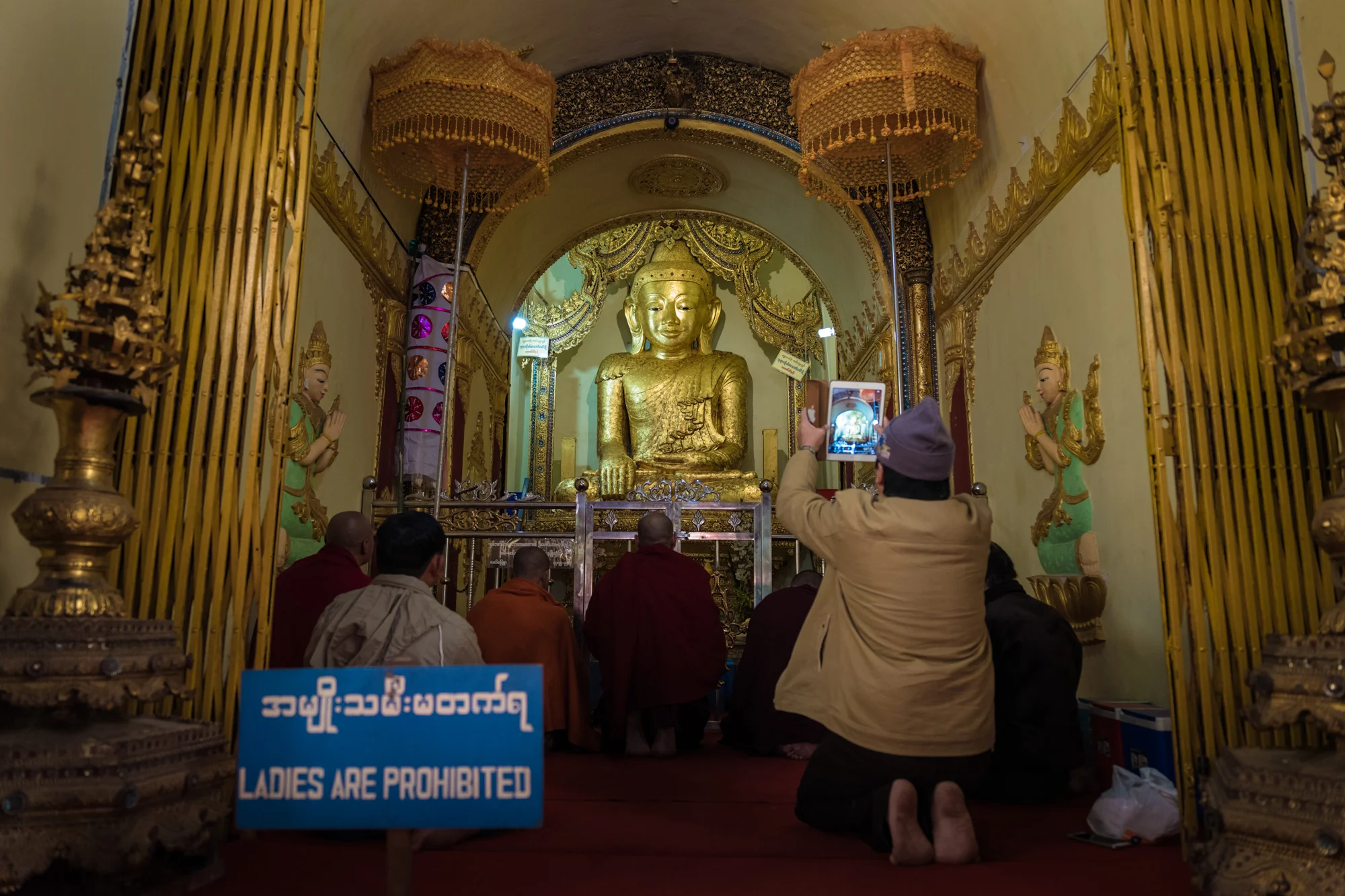 L1090482January 10, 2017.jpg