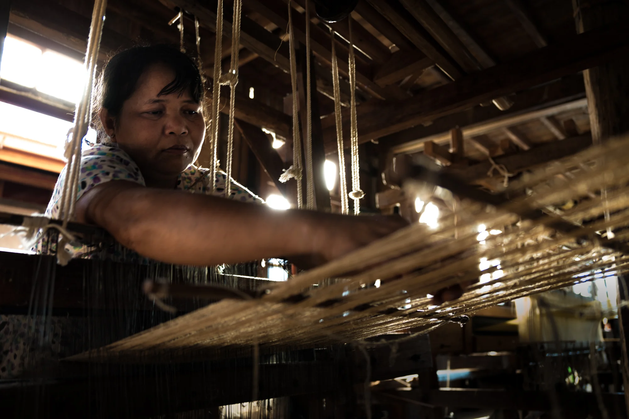 L1080937January 09, 2017.jpg