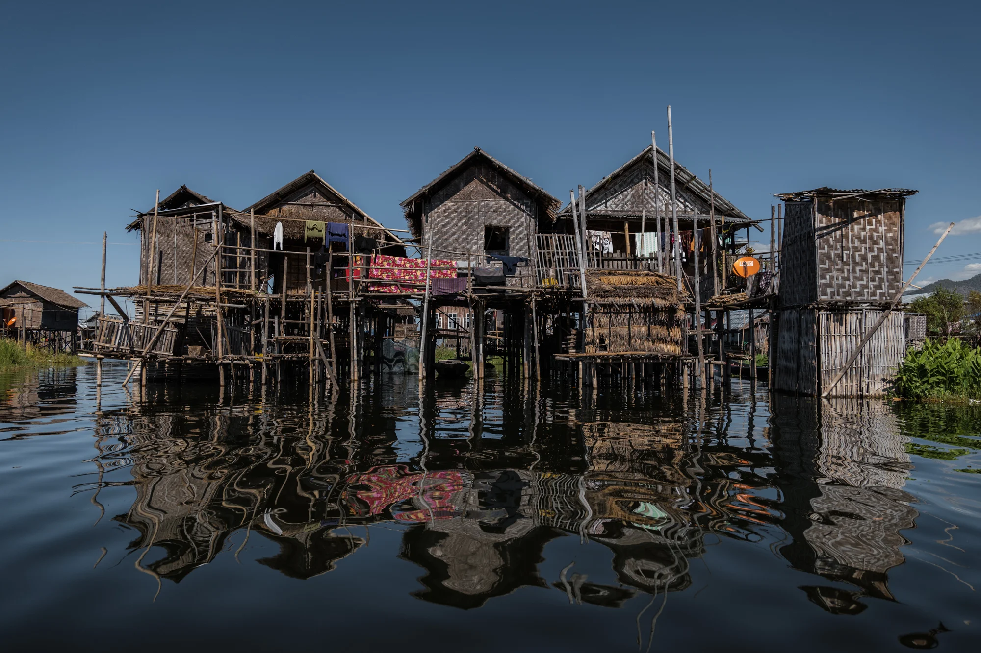 L1080784January 09, 2017.jpg