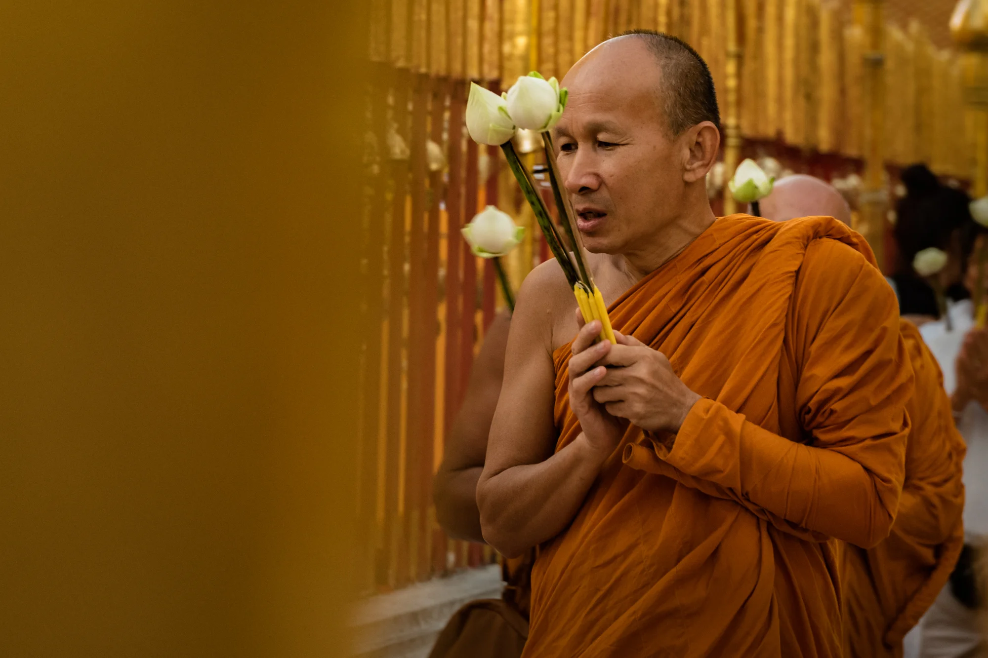 L1070663January 07, 2017-2.jpg