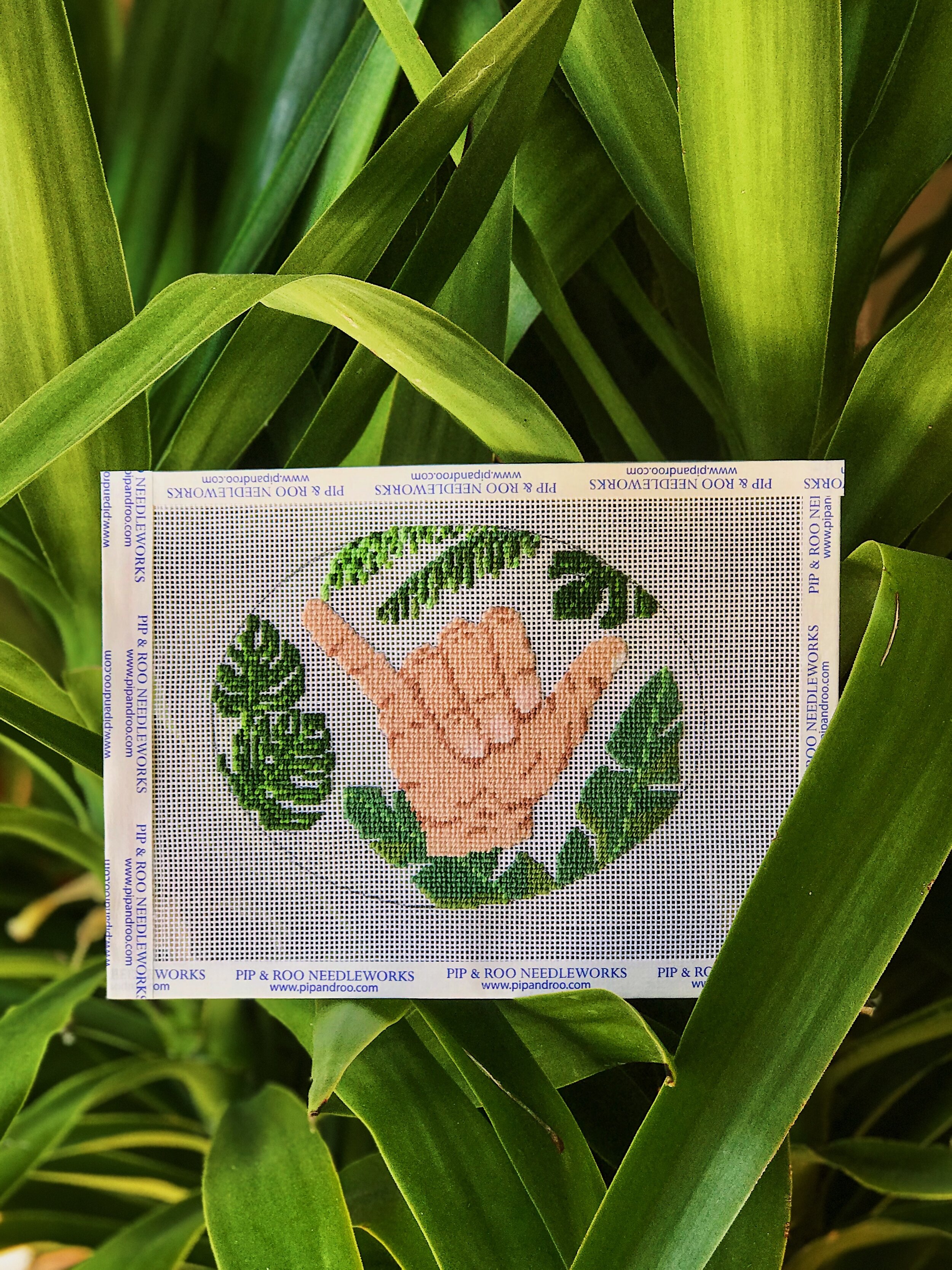 Shaka Brah!!! ( This item is currently not available. Please click to sign up for availability notification.)