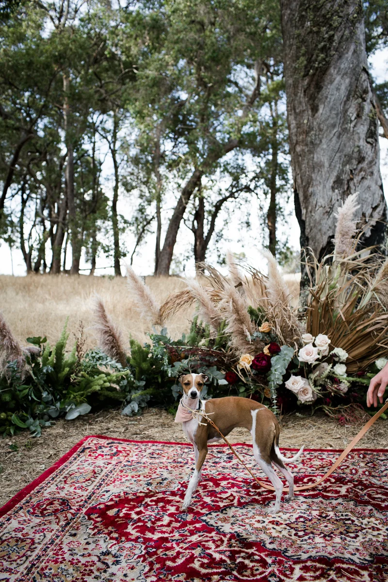 Taniquah+Adam-473.jpg