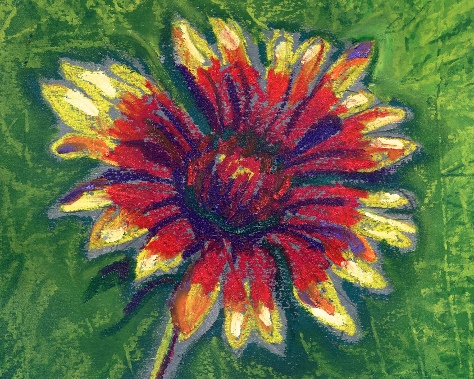 NMCollection2020_SierraNegra-Detail.jpg