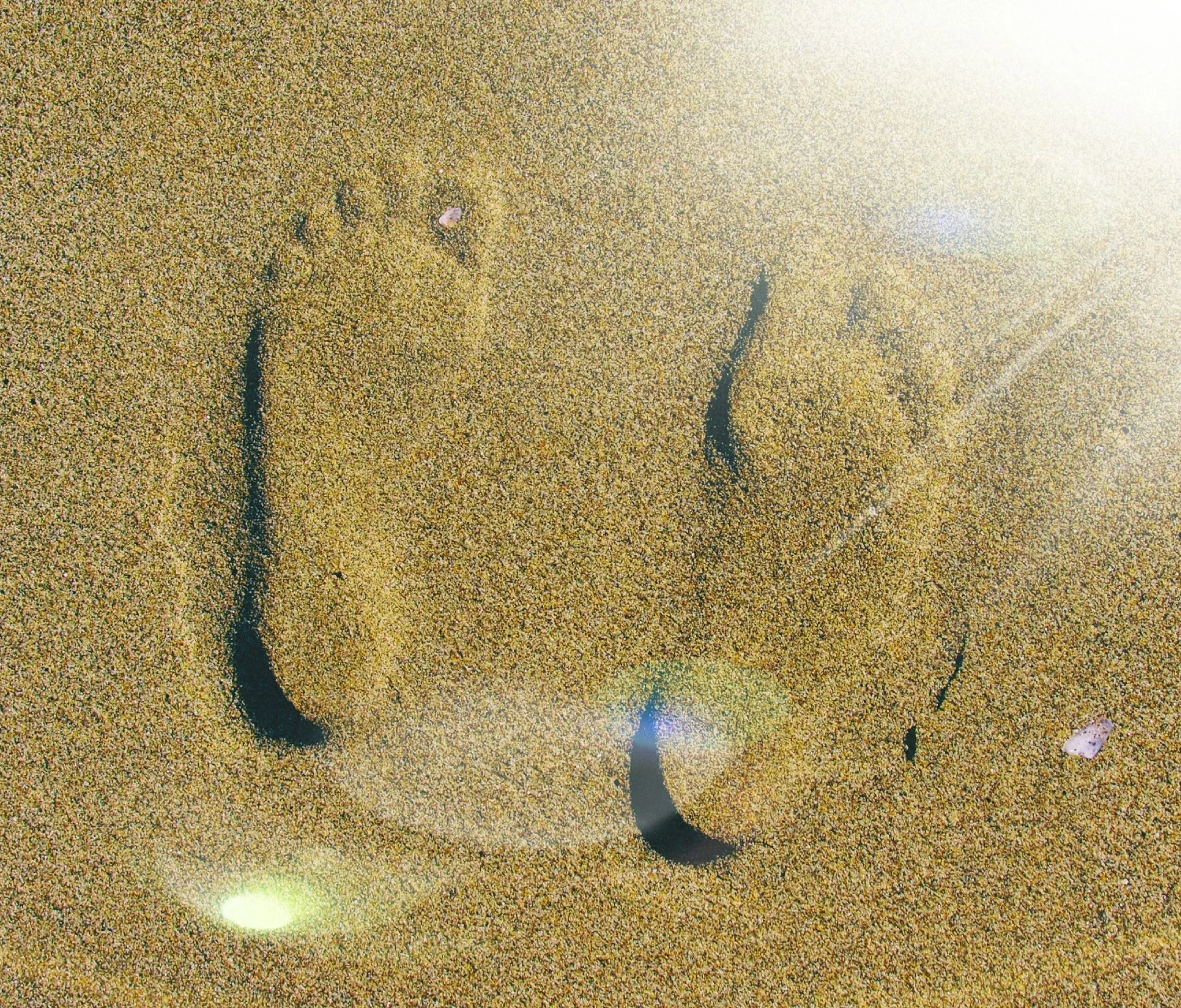 Feet