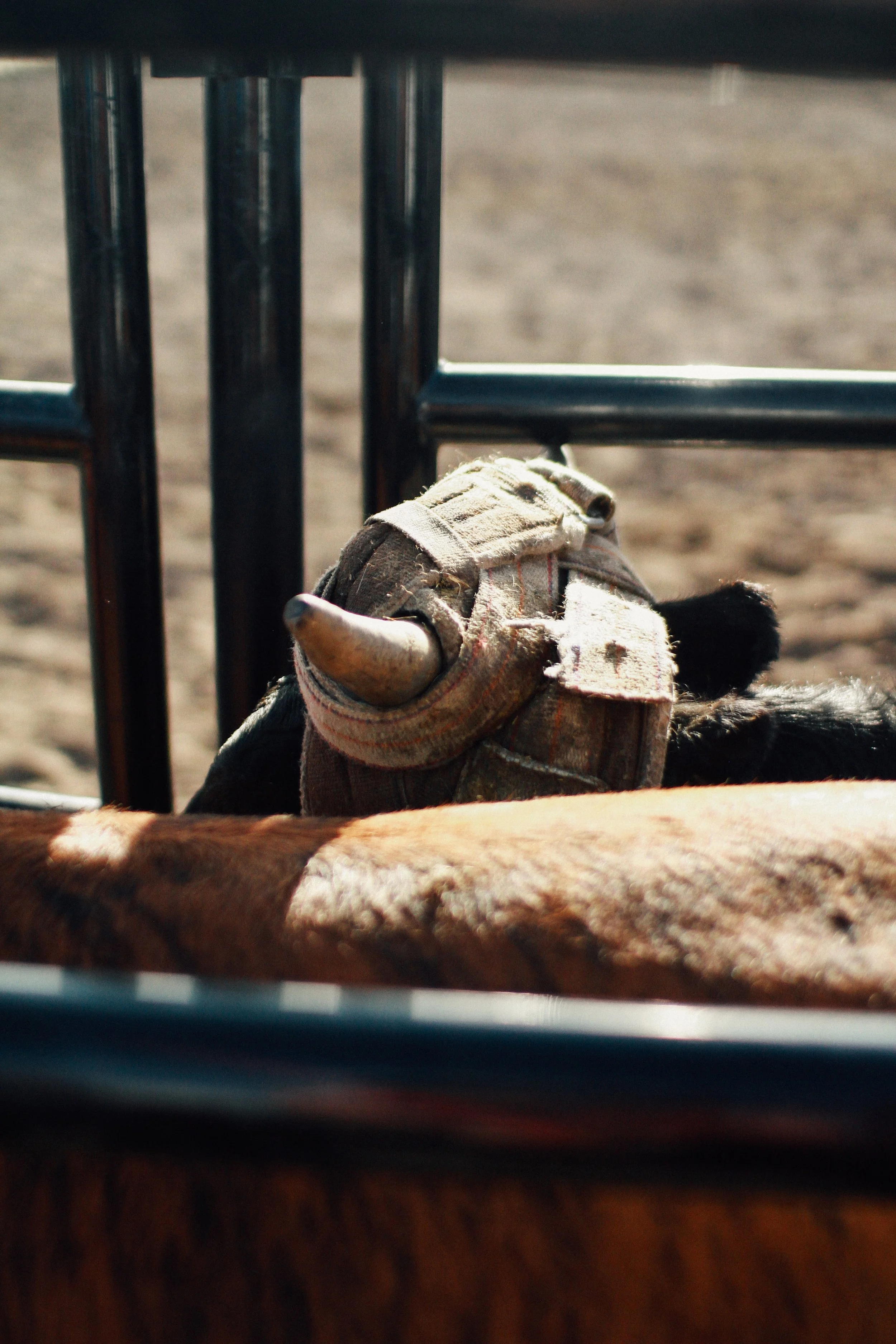 Colorado 2019-3682.JPG