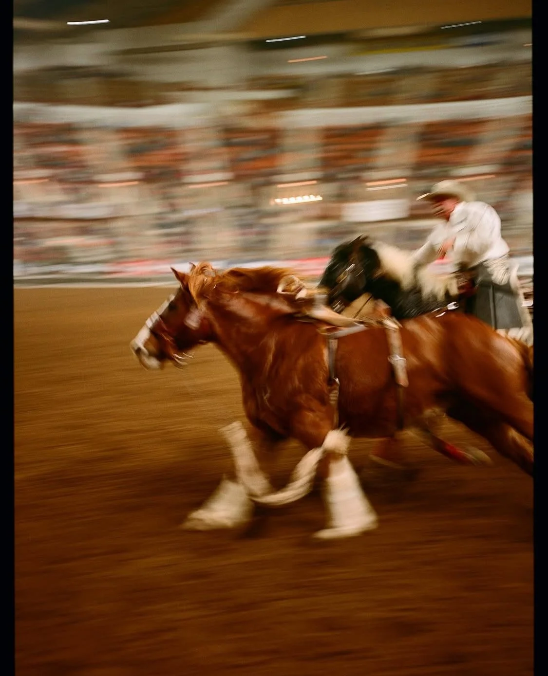 IMG_1145.jpg