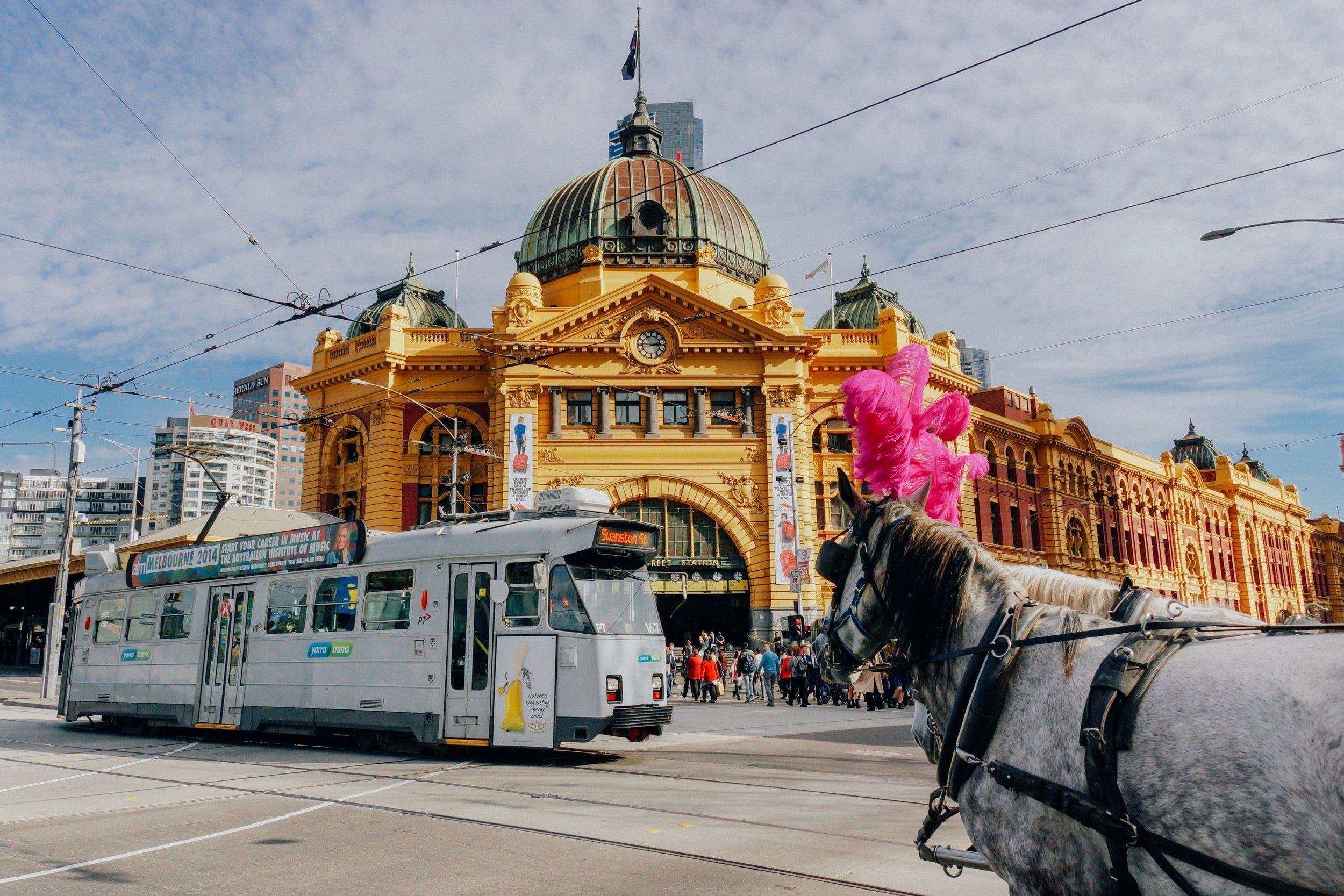 Melbourne Cup Cruise