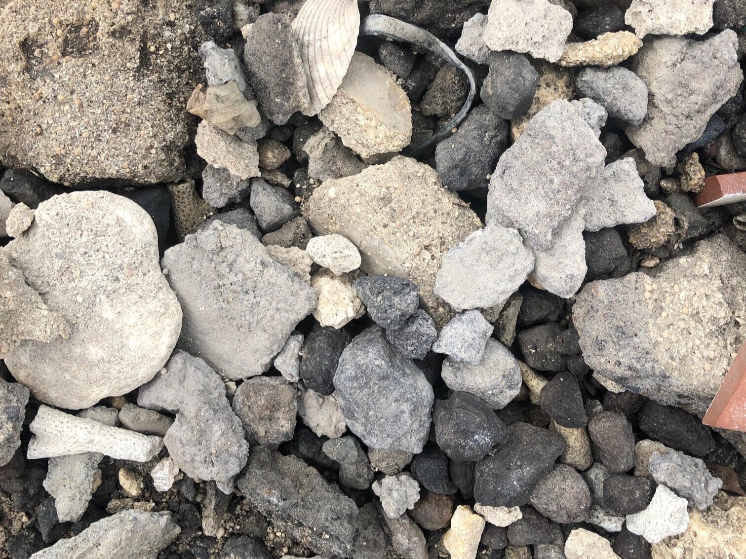 Rocks found at the base of a river at Elephant Nature Park in Chiang Mai, Thailand