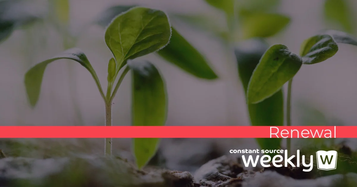 Renewal | Family Devotional | Constant Source Weekly