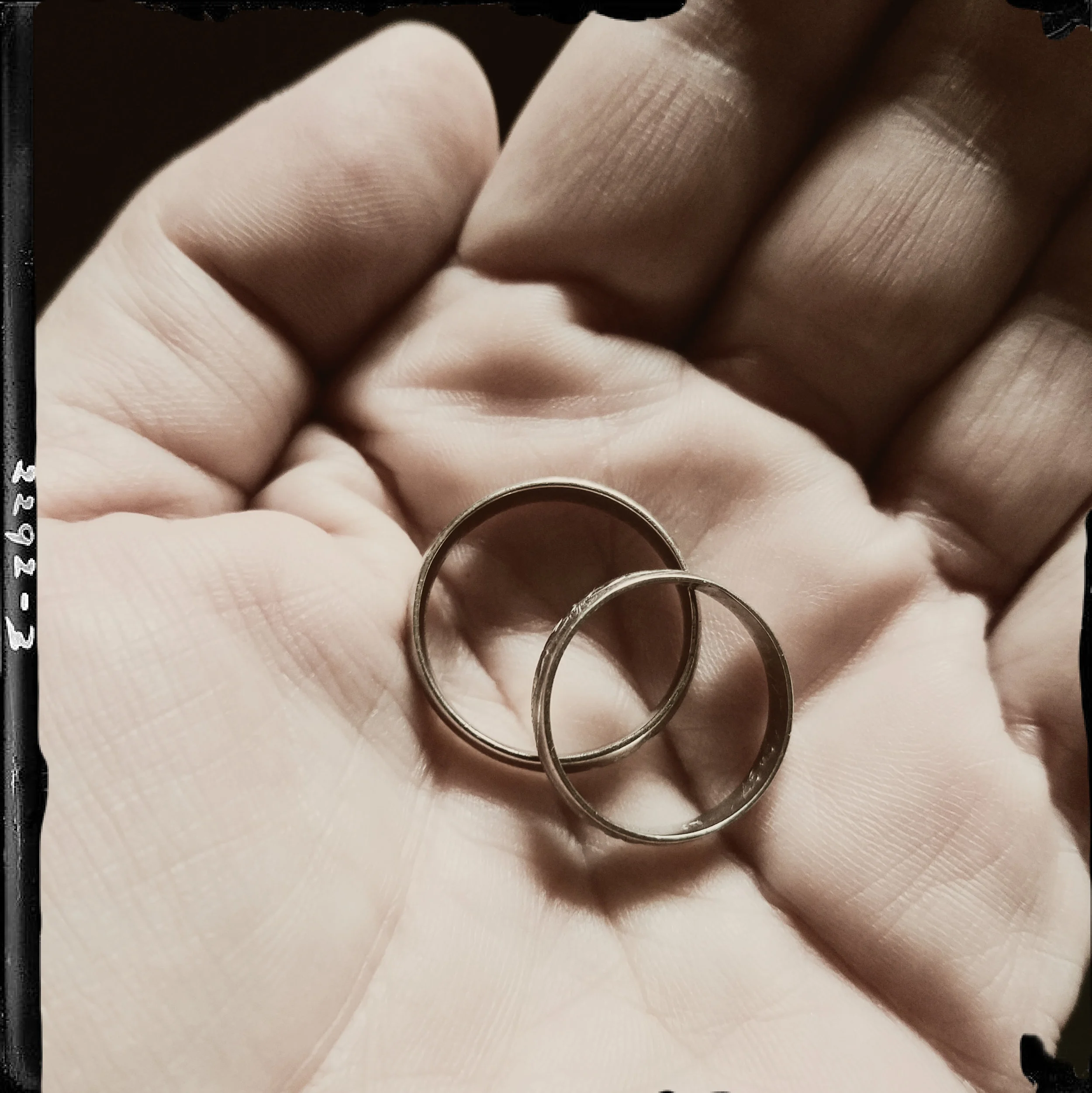 rings.jpg