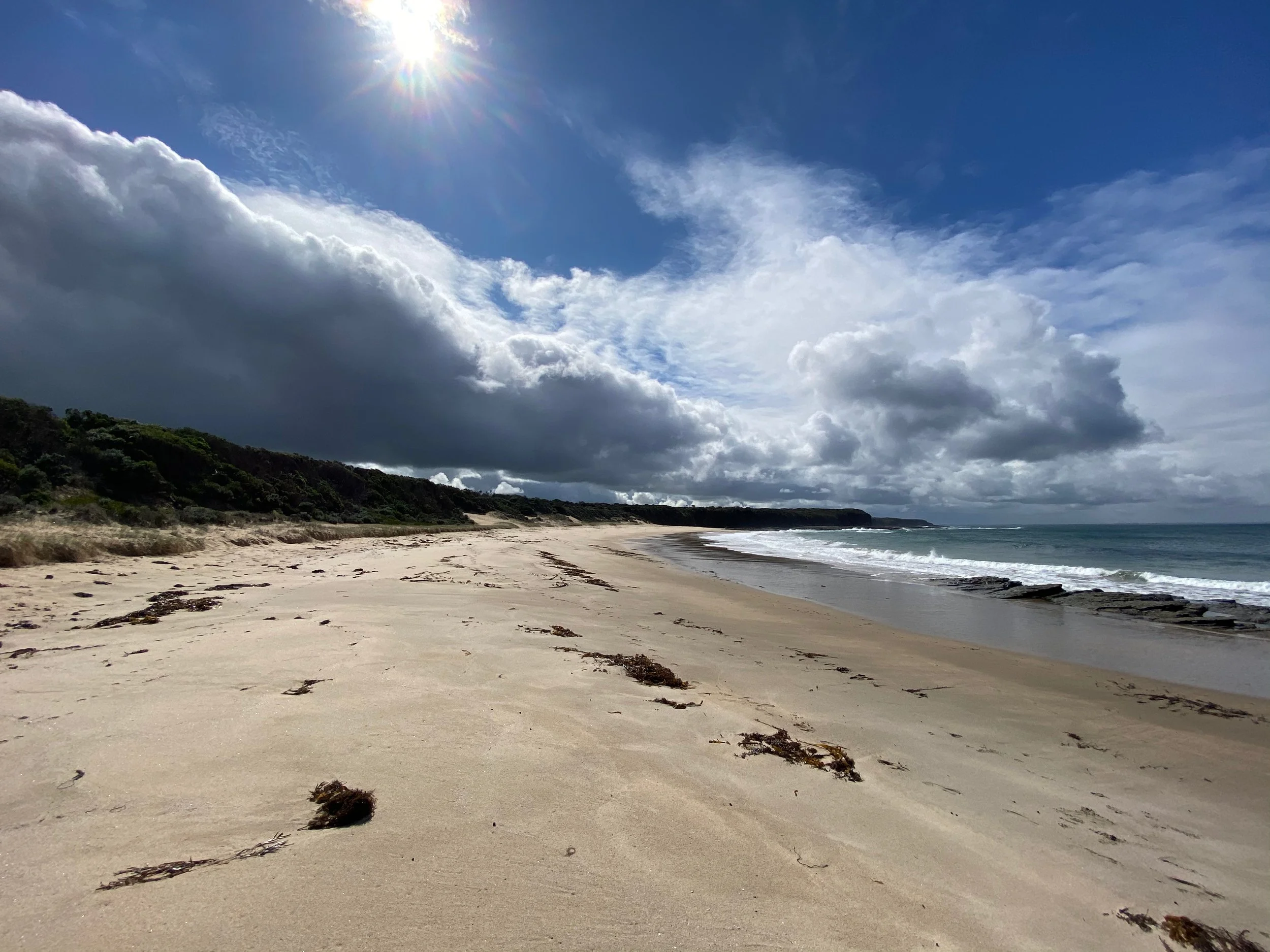 All Photos - 1 of 1 (1).jpeg