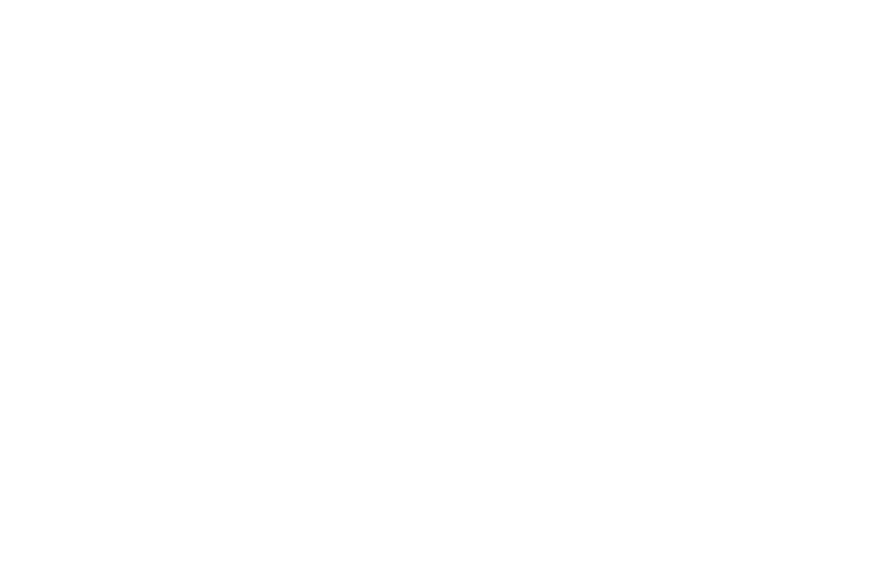 OFFICIAL SELECTION - Berlin International Film Festival - 2021.png