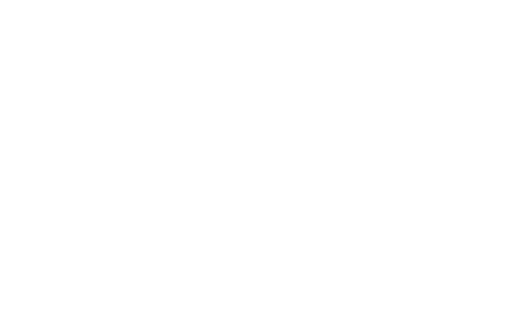 OFFICIAL SELECTION - Nice International Film Festival - 2021.png
