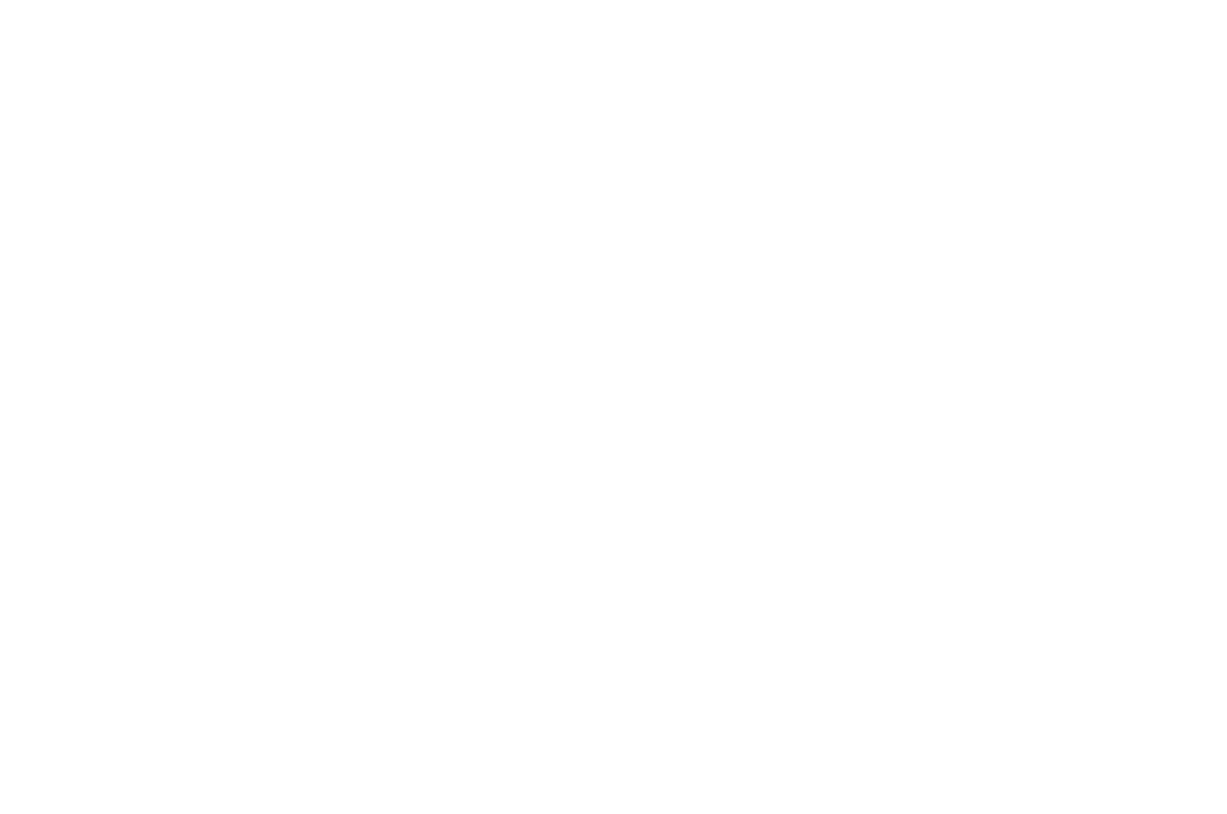 OFFICIAL SELECTION - World Cinema Antwerp Belgium - 2020.png