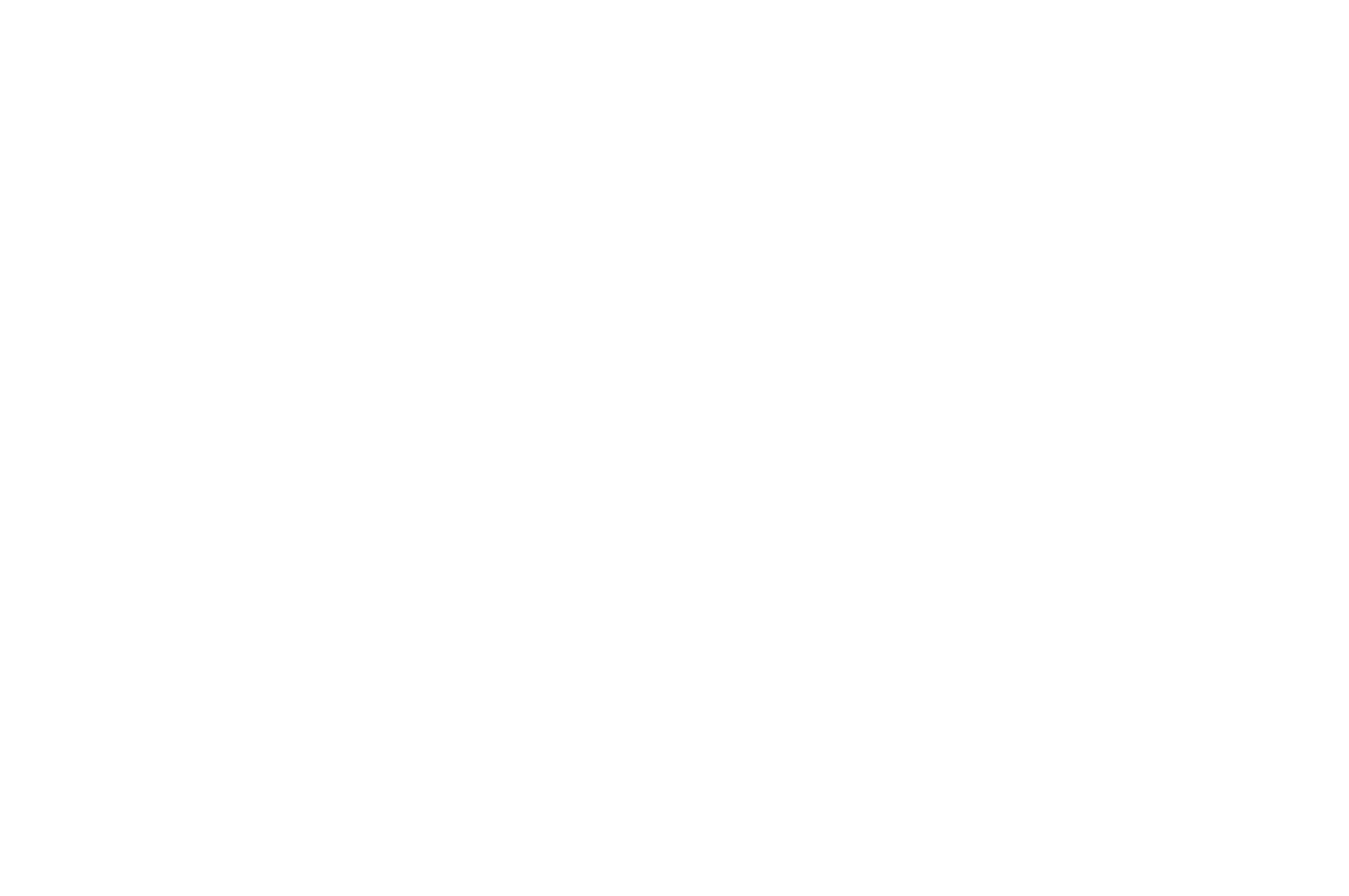 OFFICIAL SELECTION - Antwerp International Film Festival - 2020.png