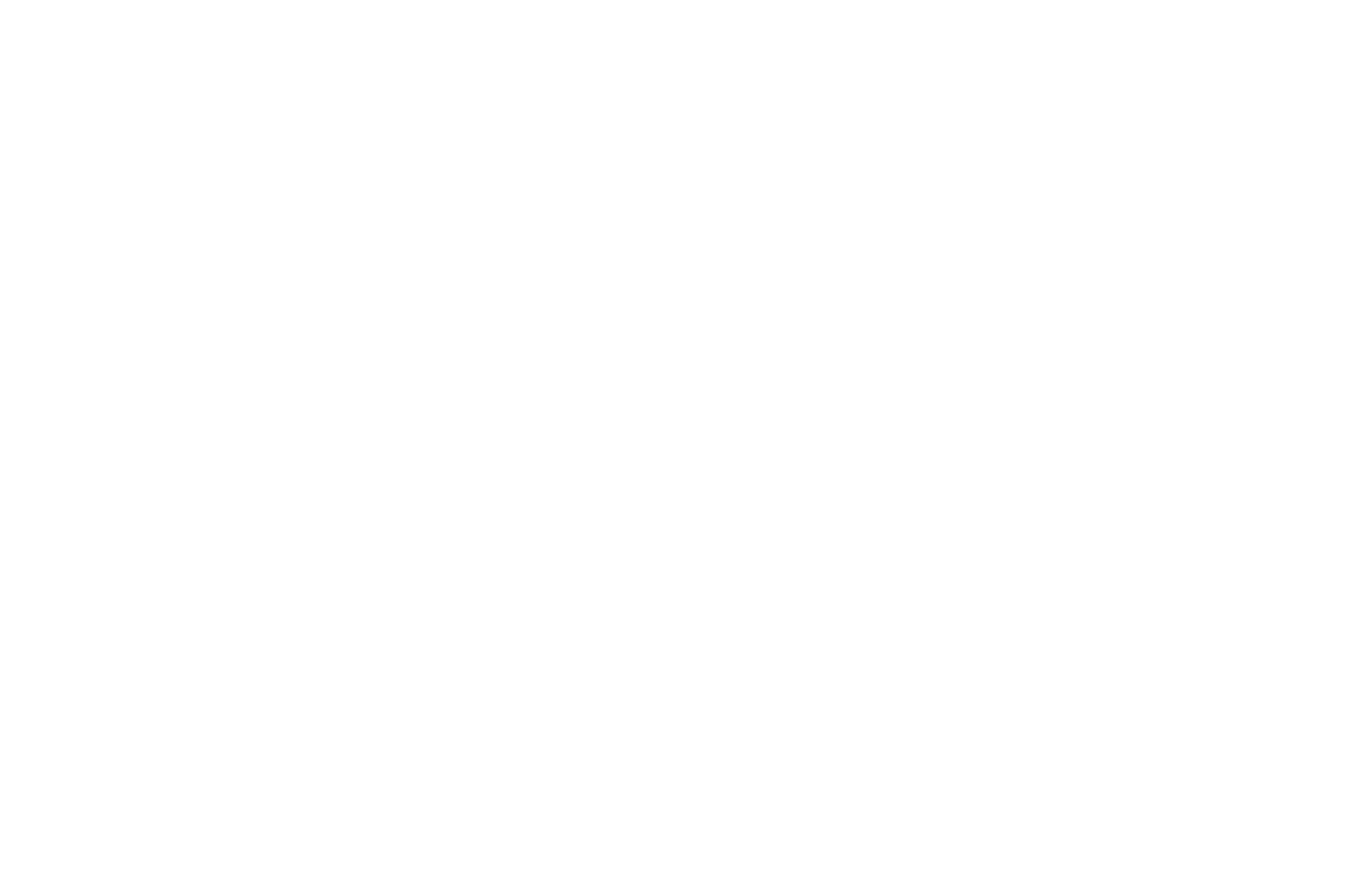 OFFICIAL SELECTION - IndieX Film Fest - 2021.png